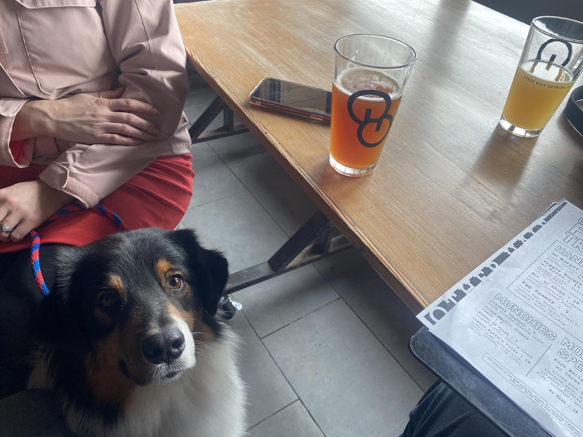 Pet Friendly Other Half Brewing Company