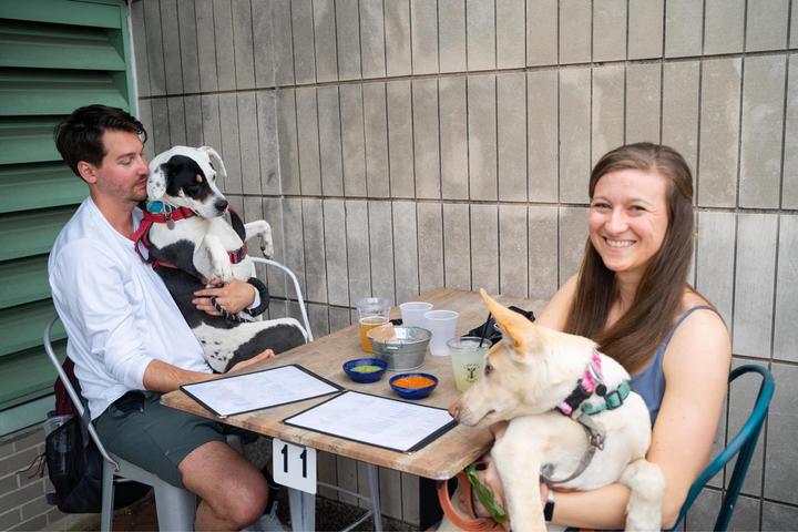 Pet Friendly Yappy Hour at Liberty Point