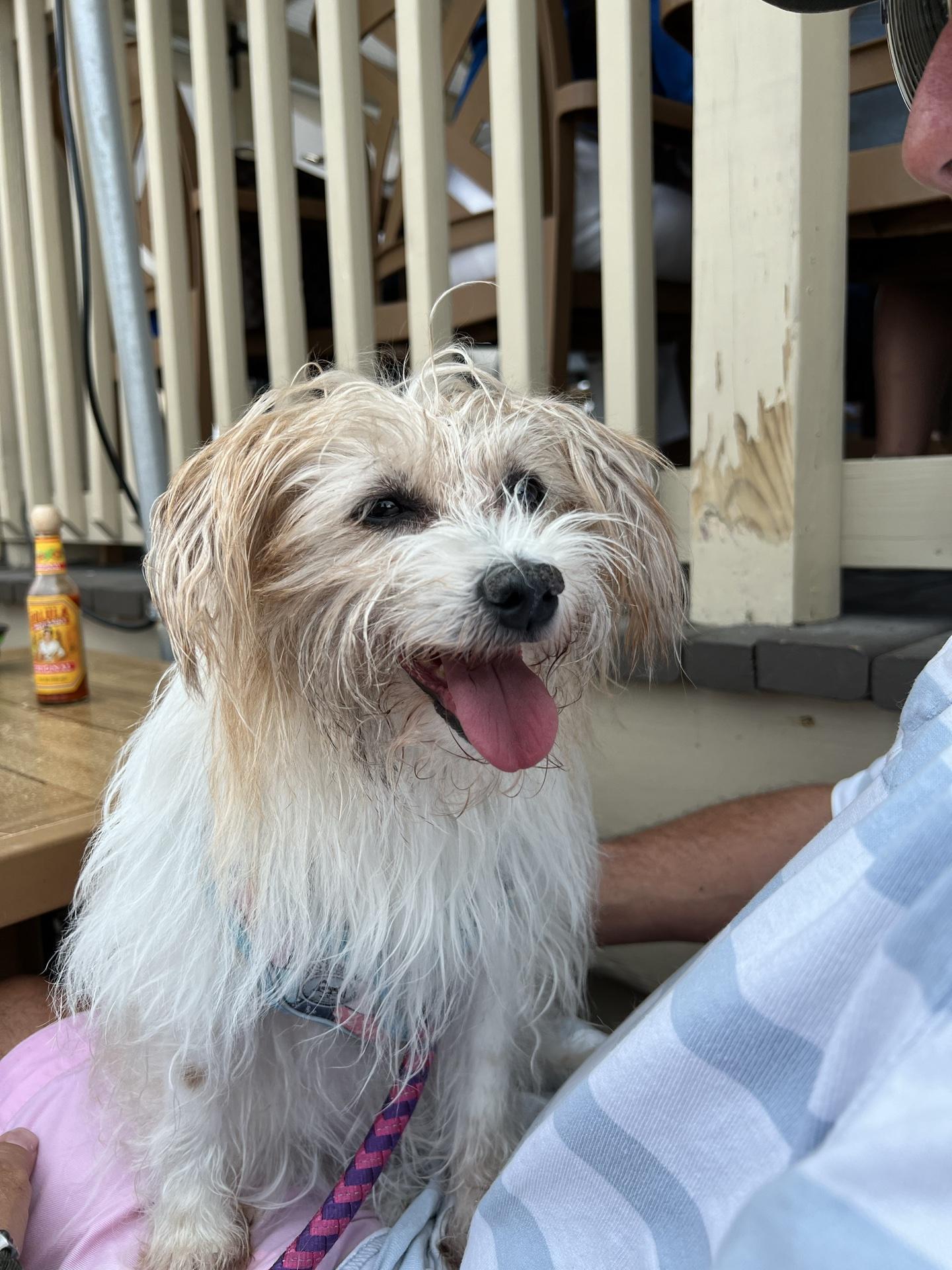 Key Largo Fisheries Backyard Pet Policy