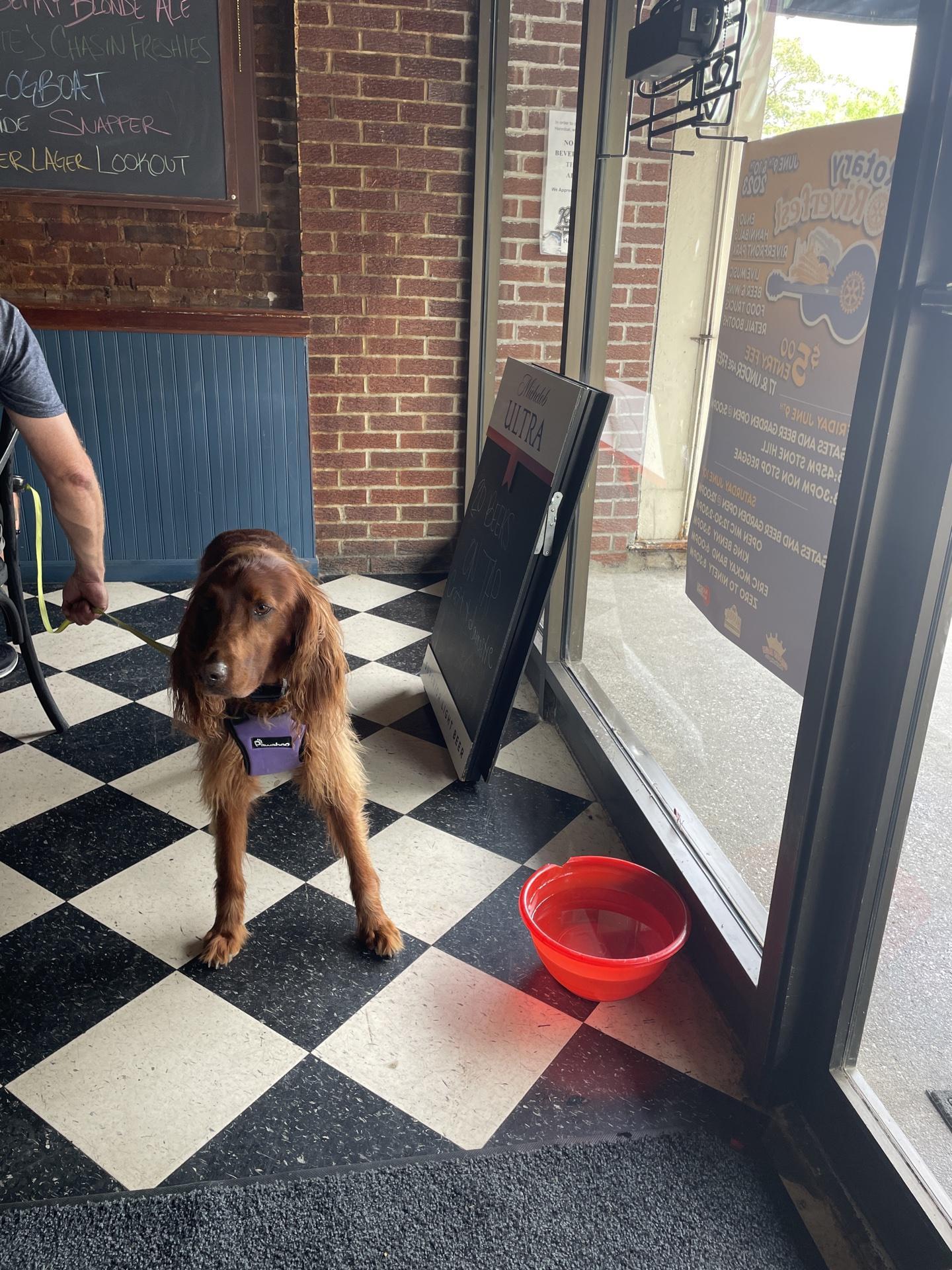 Pet Friendly Rumor Has It Bar and Grill