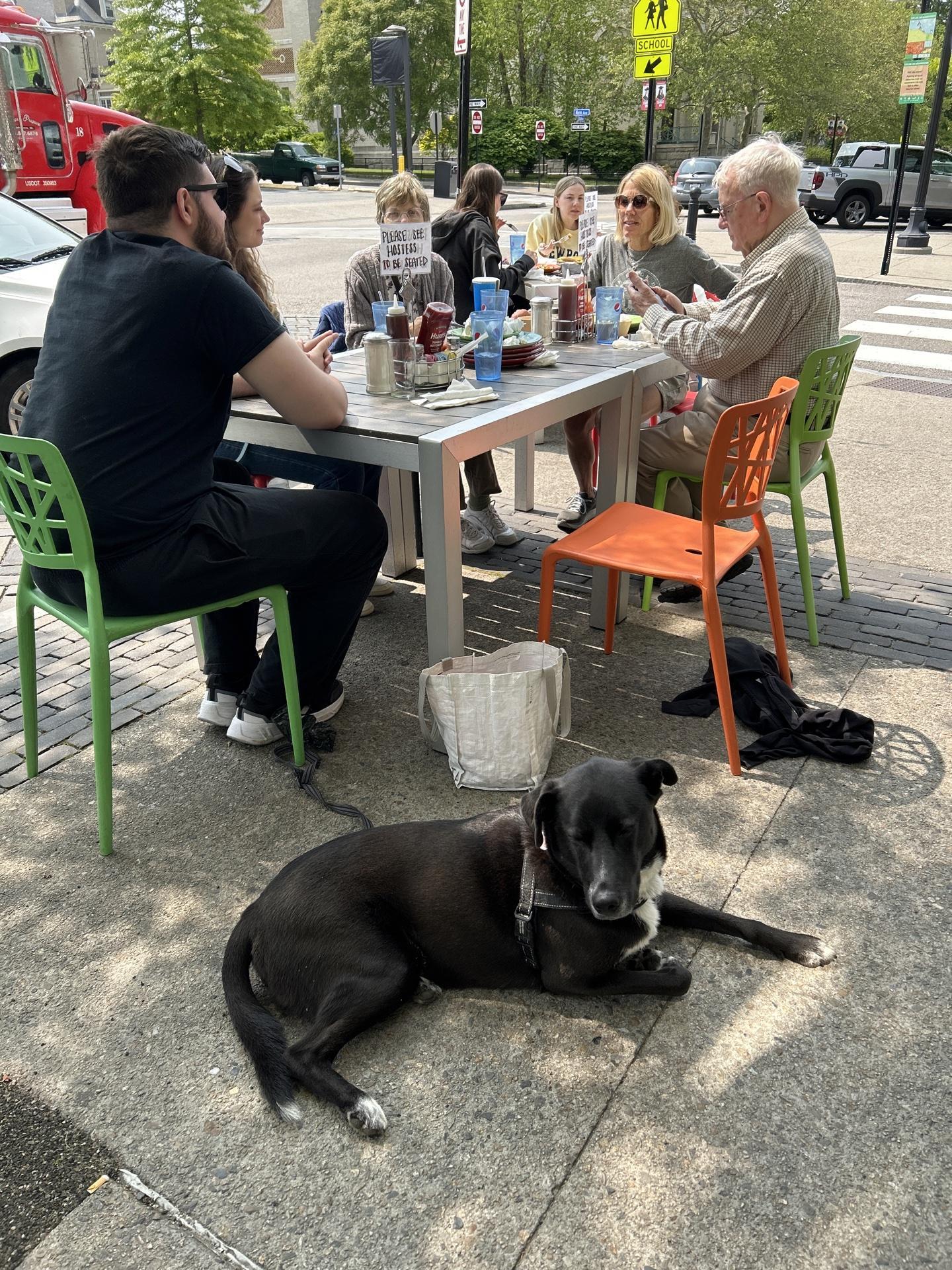 Pet Friendly The Hungry Monkey