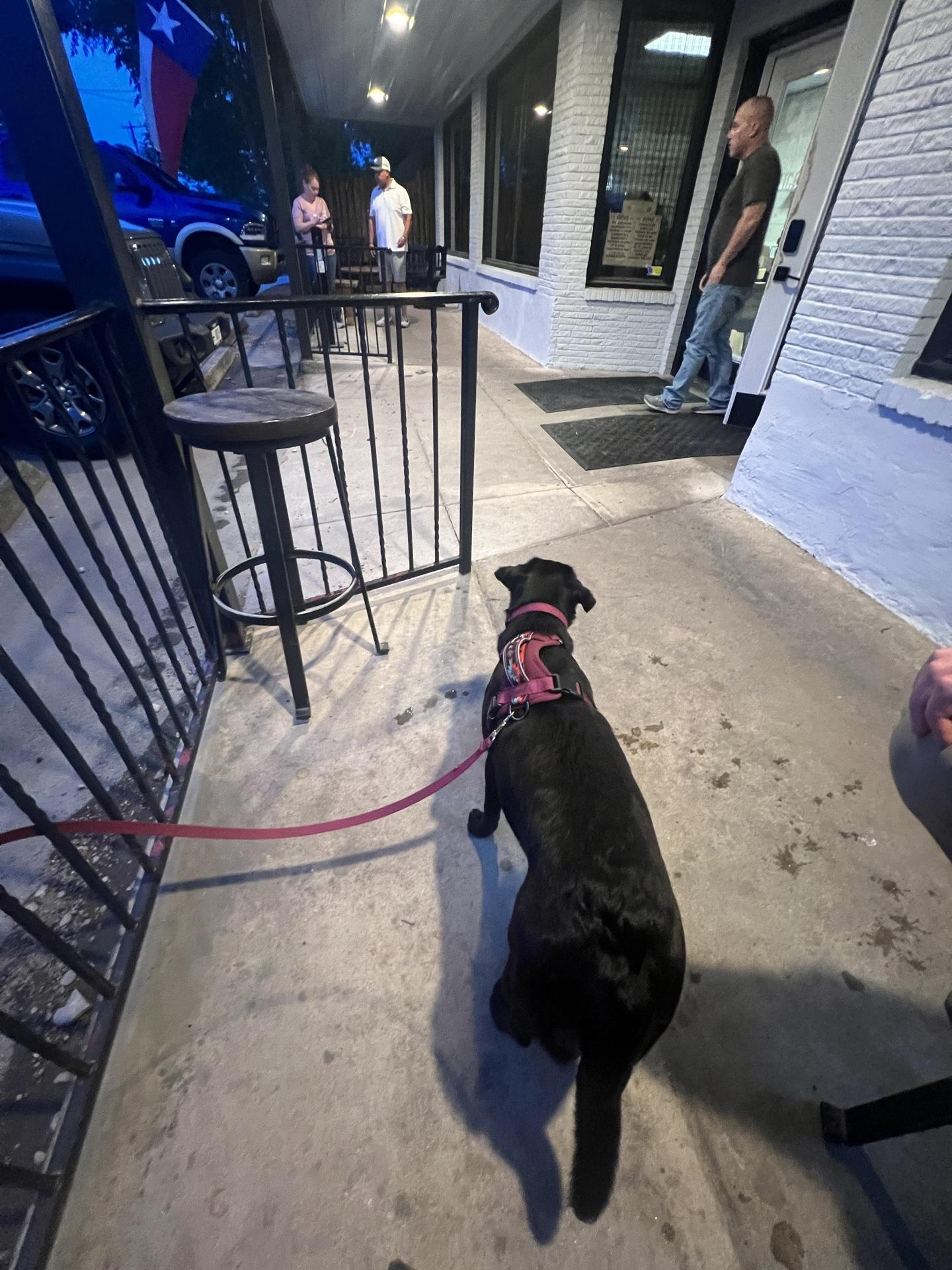 Pet Friendly Texas Cannon Brewing Company