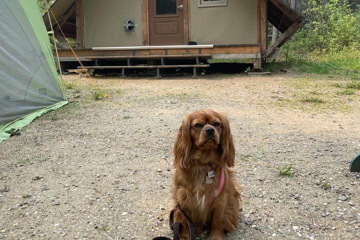 Pet Friendly Prince Albert National Park Campground