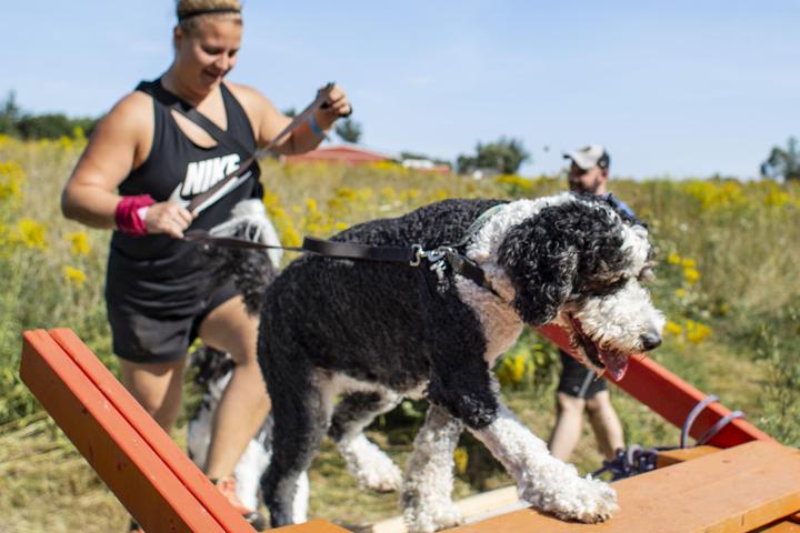 Pet Friendly Ruff Mudder Canine Obstacle Adventure