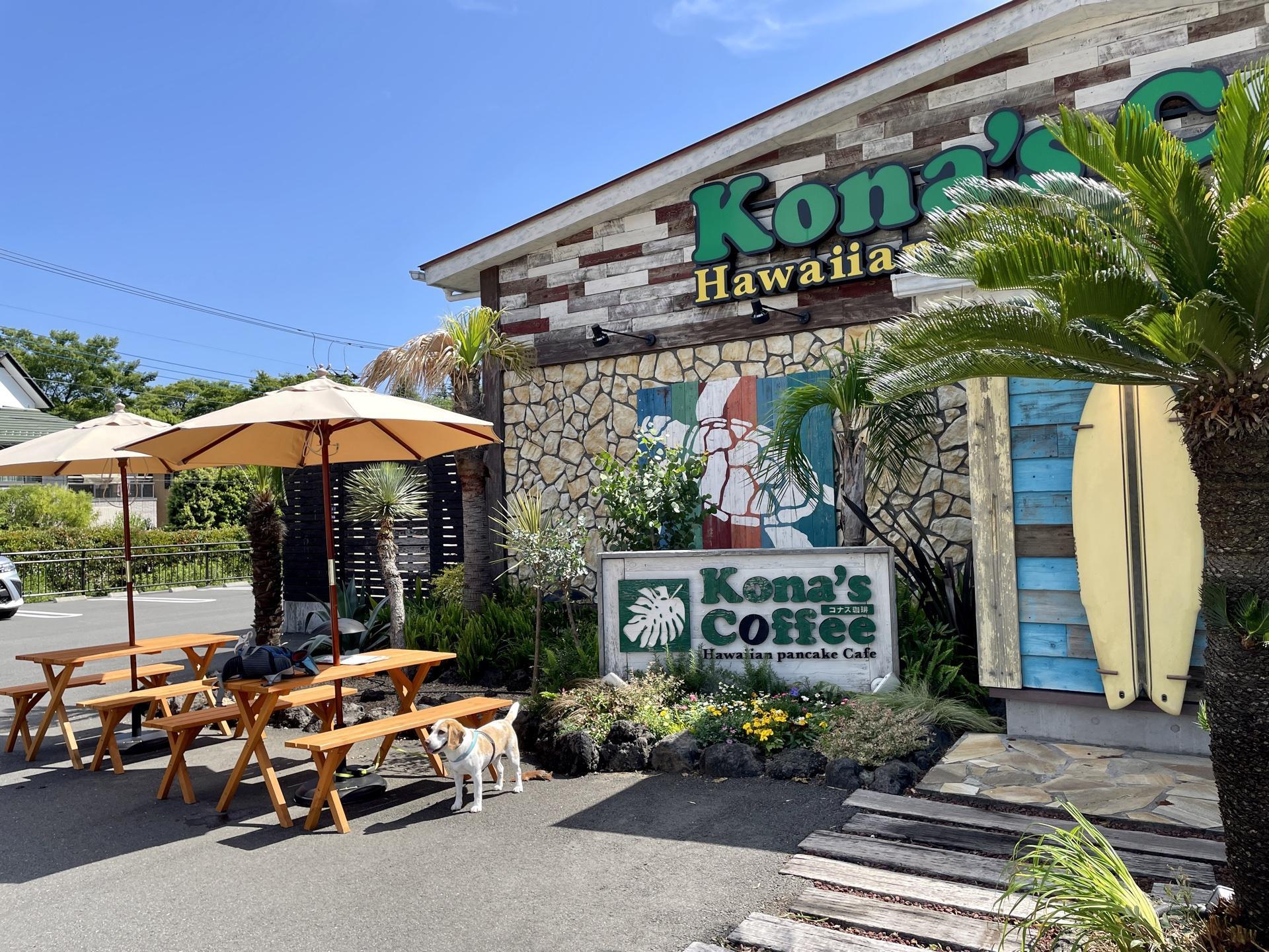 Pet Friendly Kona's Coffee