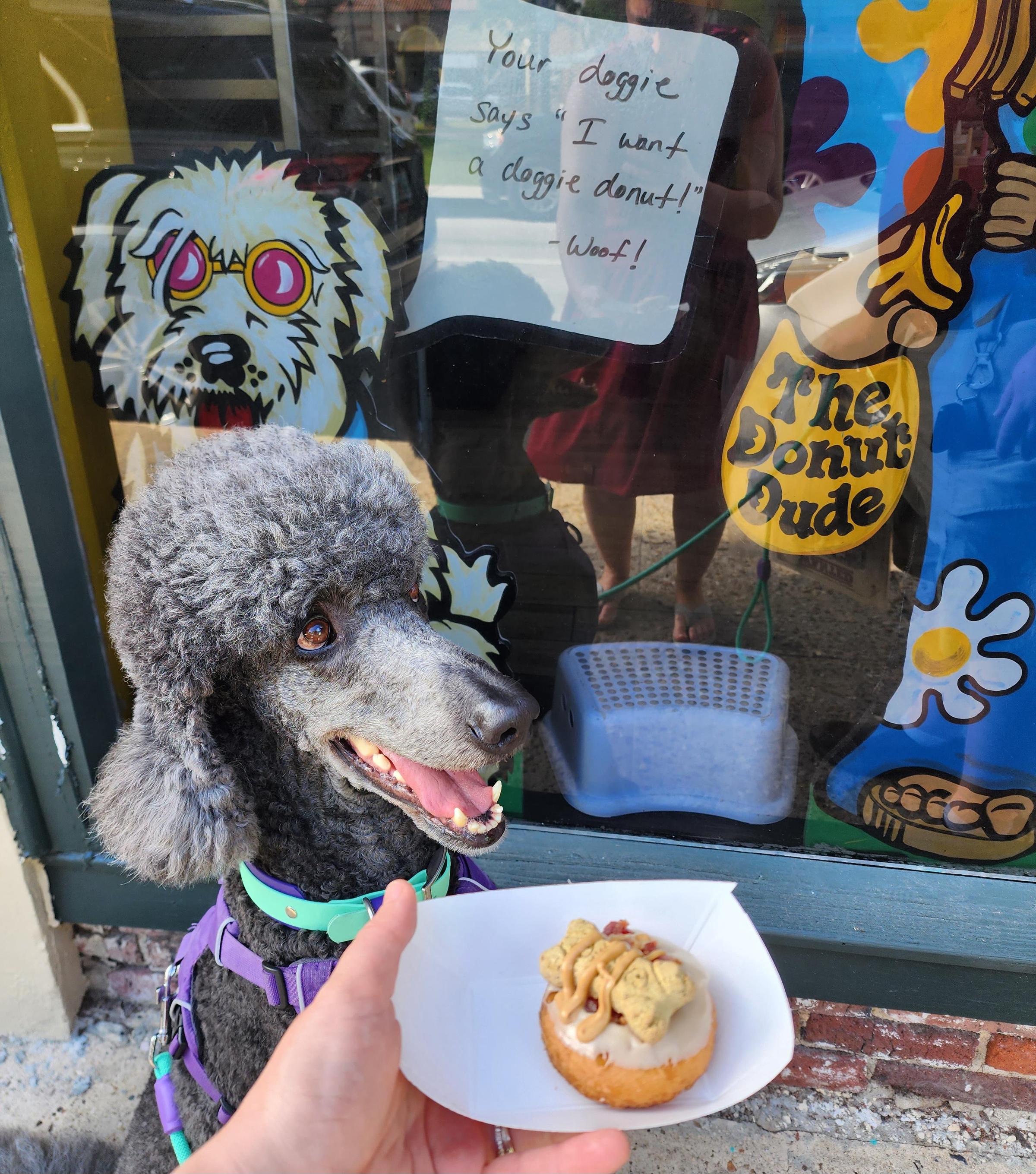 Peace love and little donuts of st augustine pet policy