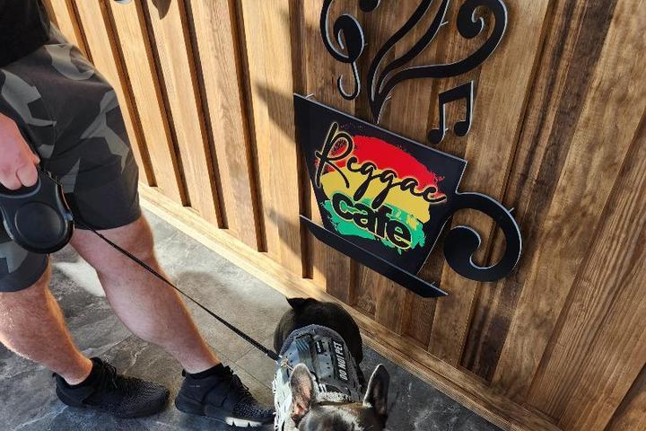 Pet Friendly Reggae Cafe