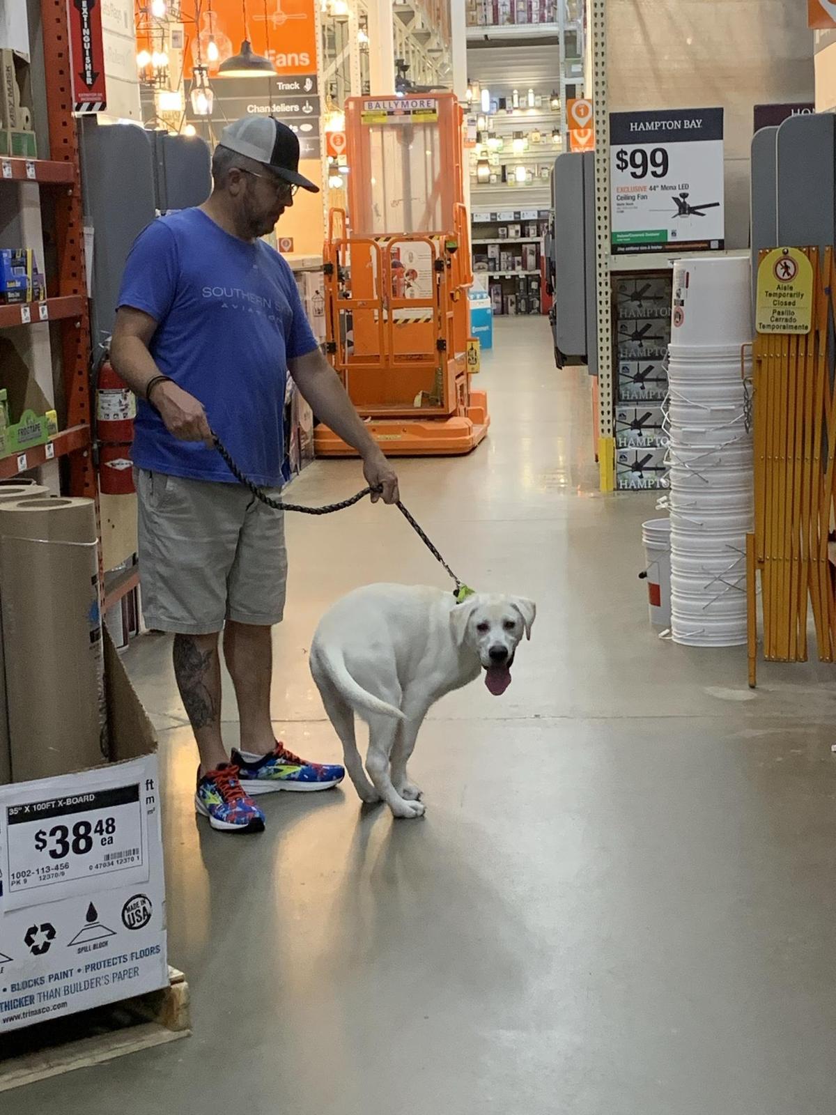 Dog Friendly Shopping in Rockwall TX BringFido