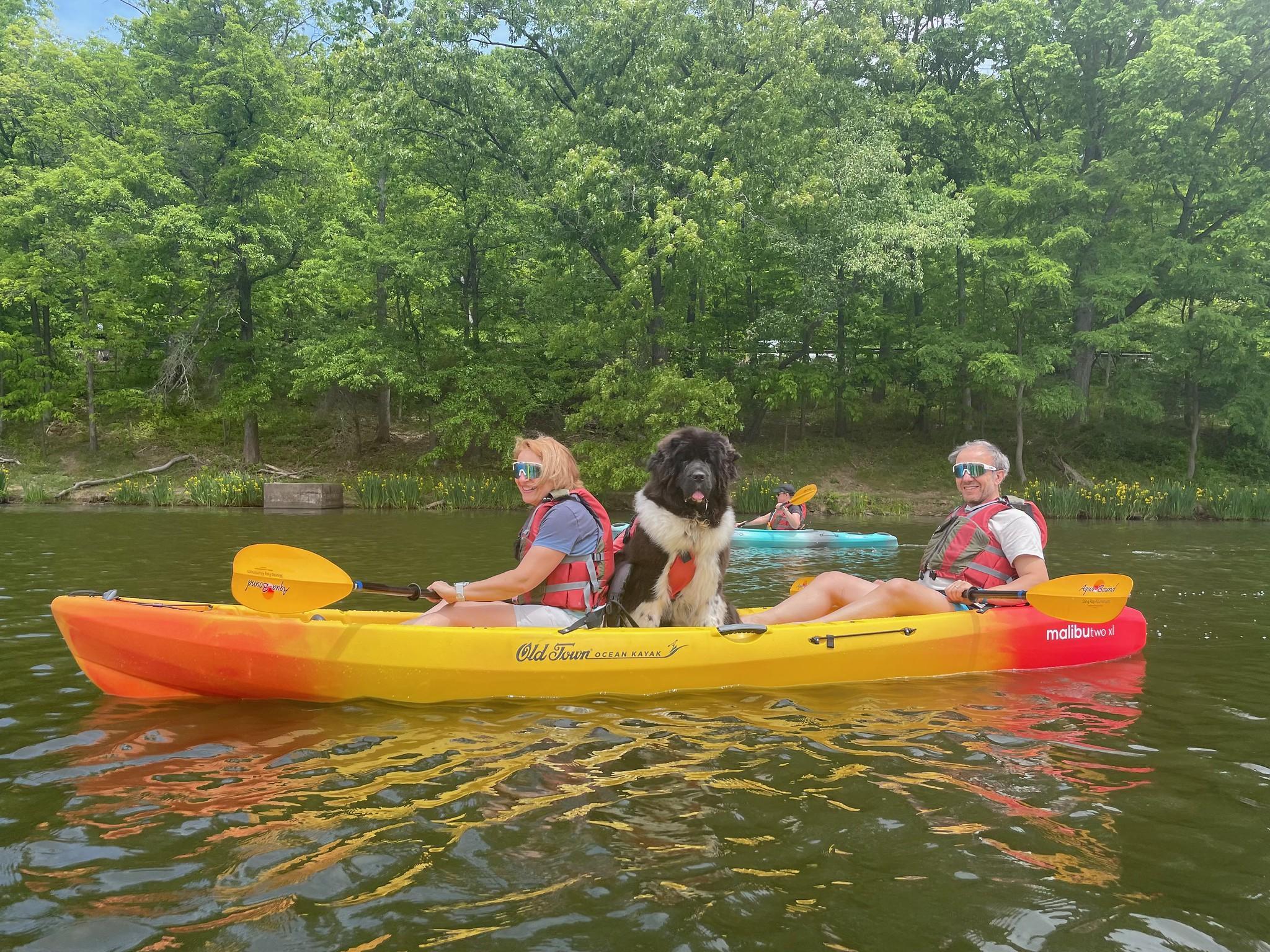 Pet Friendly Kayak Pittsburgh North Park