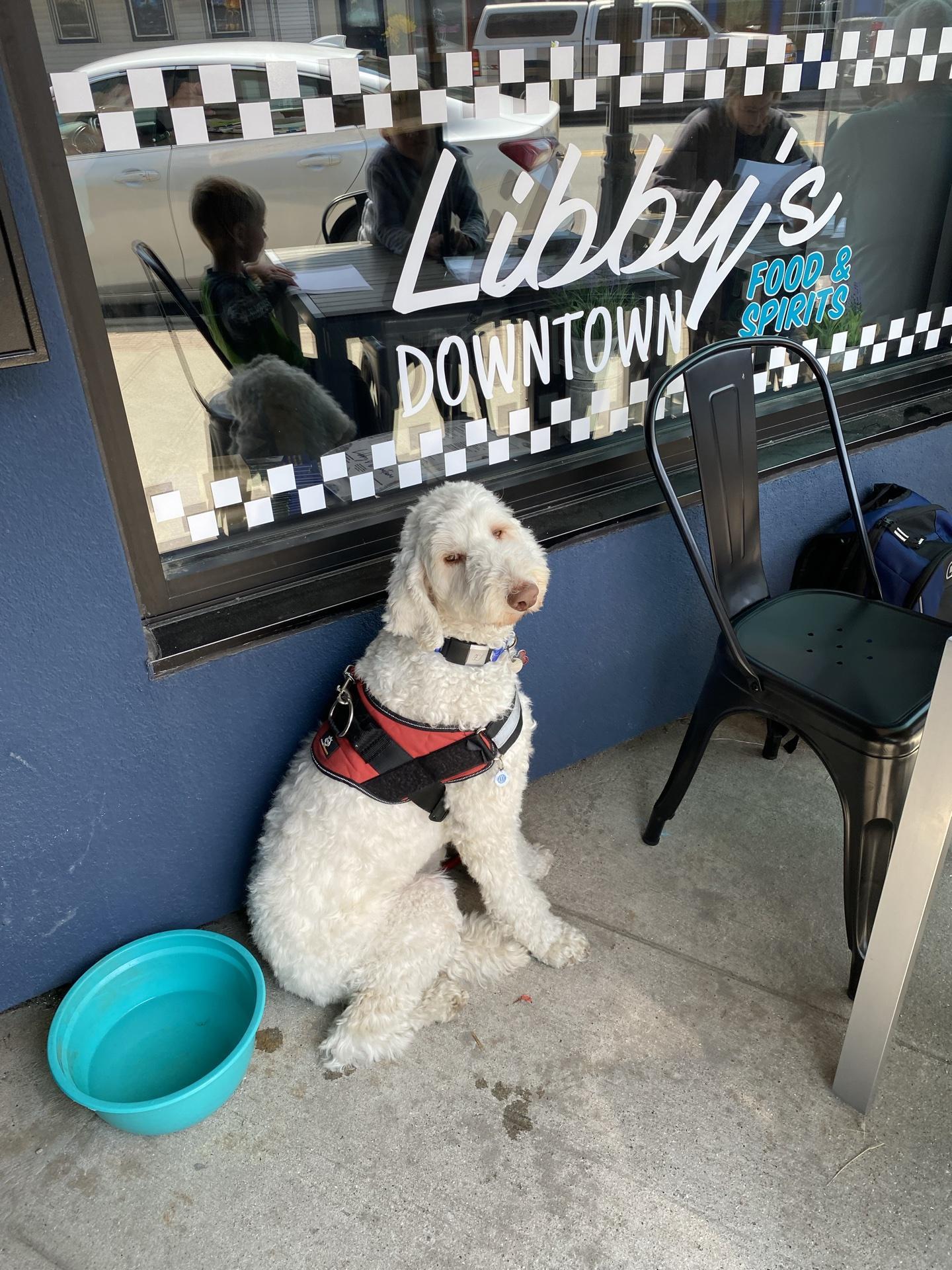 Pet Friendly Libby's Downtown