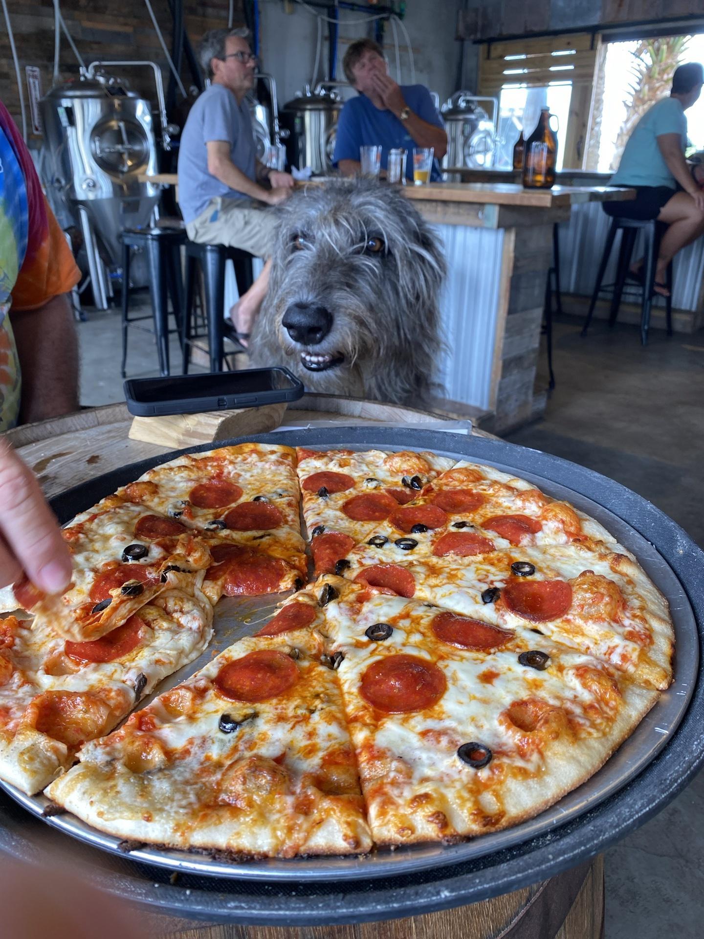 Pet Friendly Eastpoint Beer Company