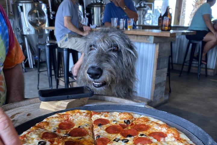 Pet Friendly Eastpoint Beer Company
