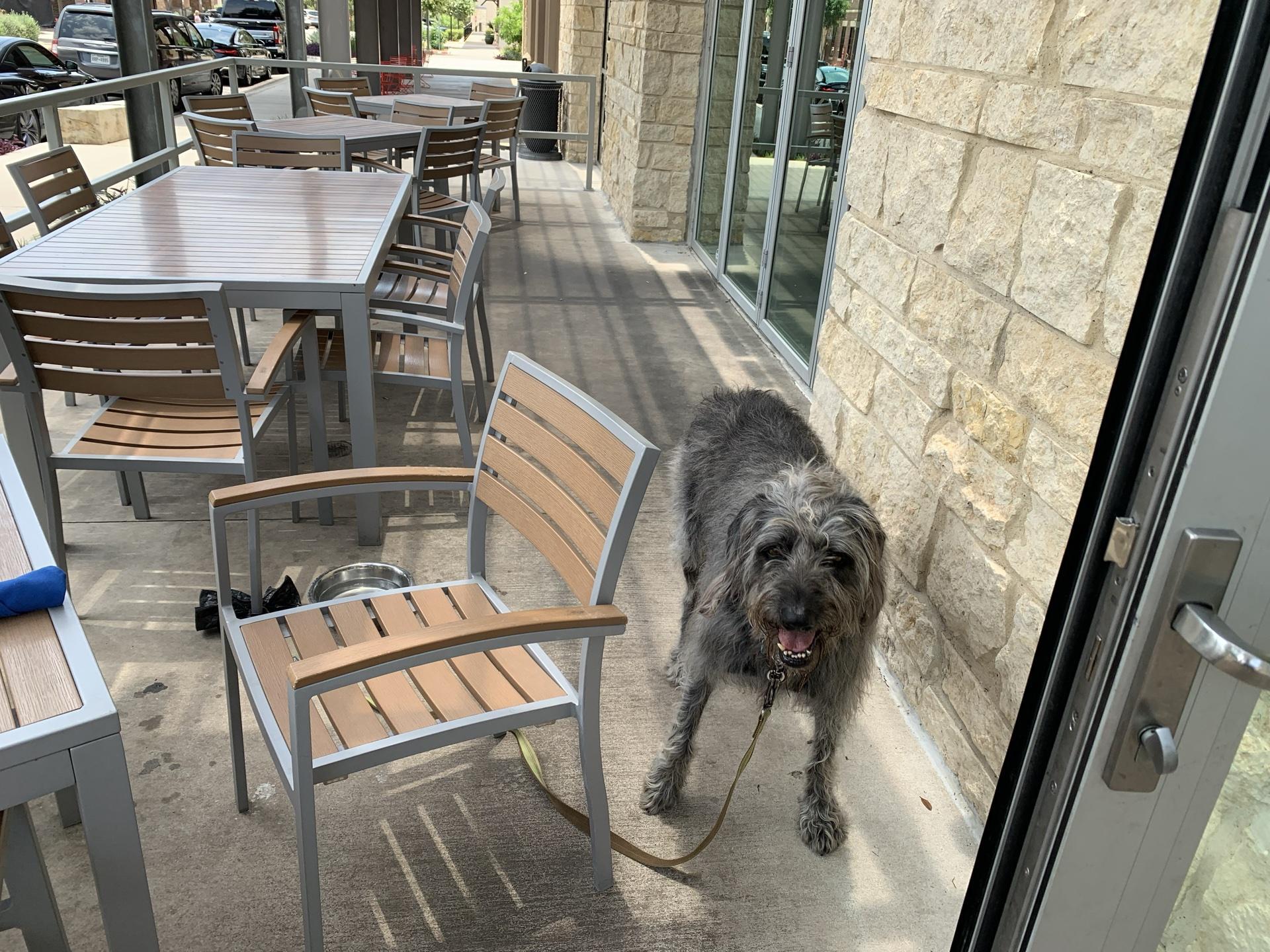 Pet Friendly Cafe Blue at Hill Country Galleria