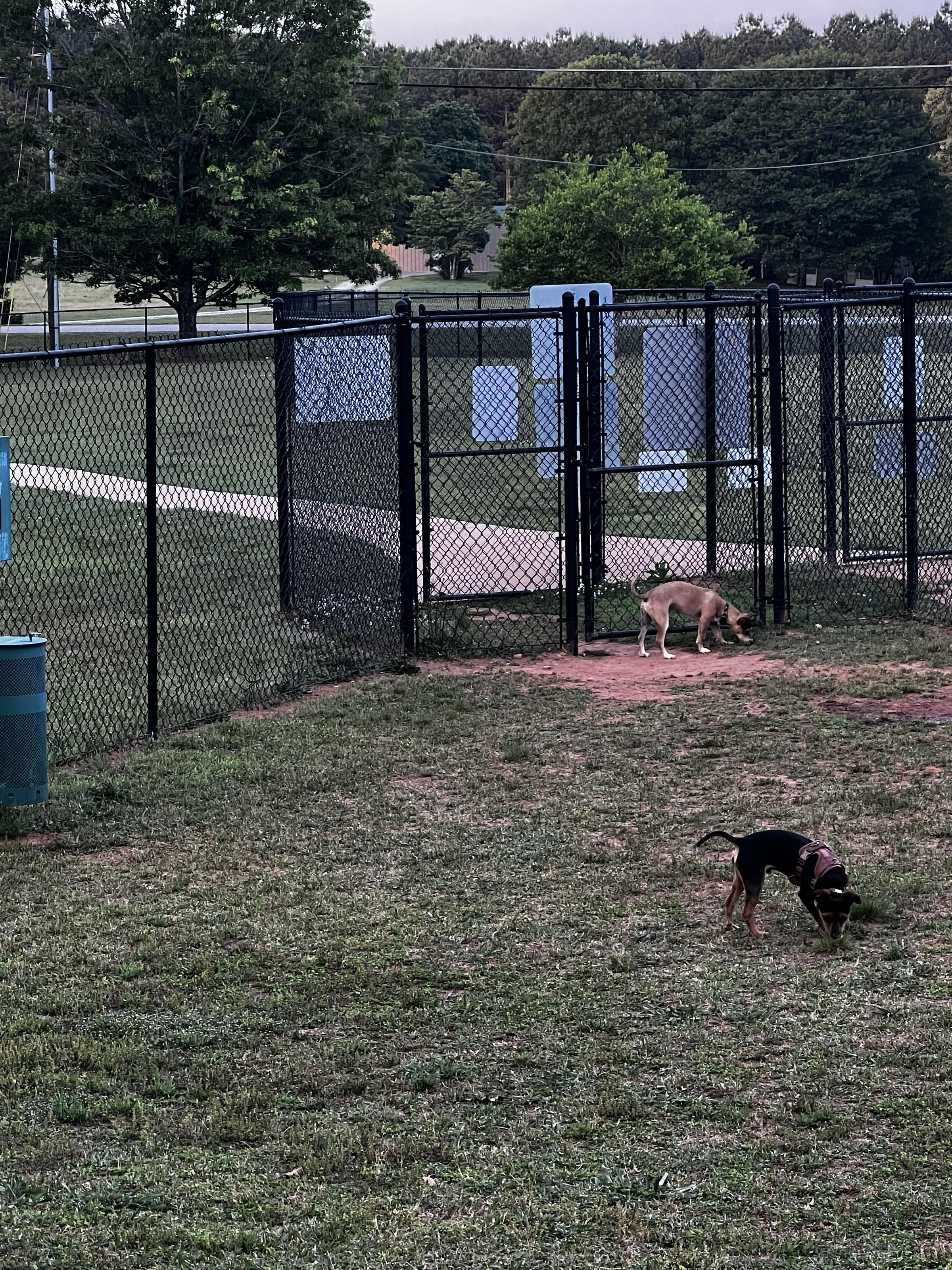Pet Friendly Dog Park at Richardson Park