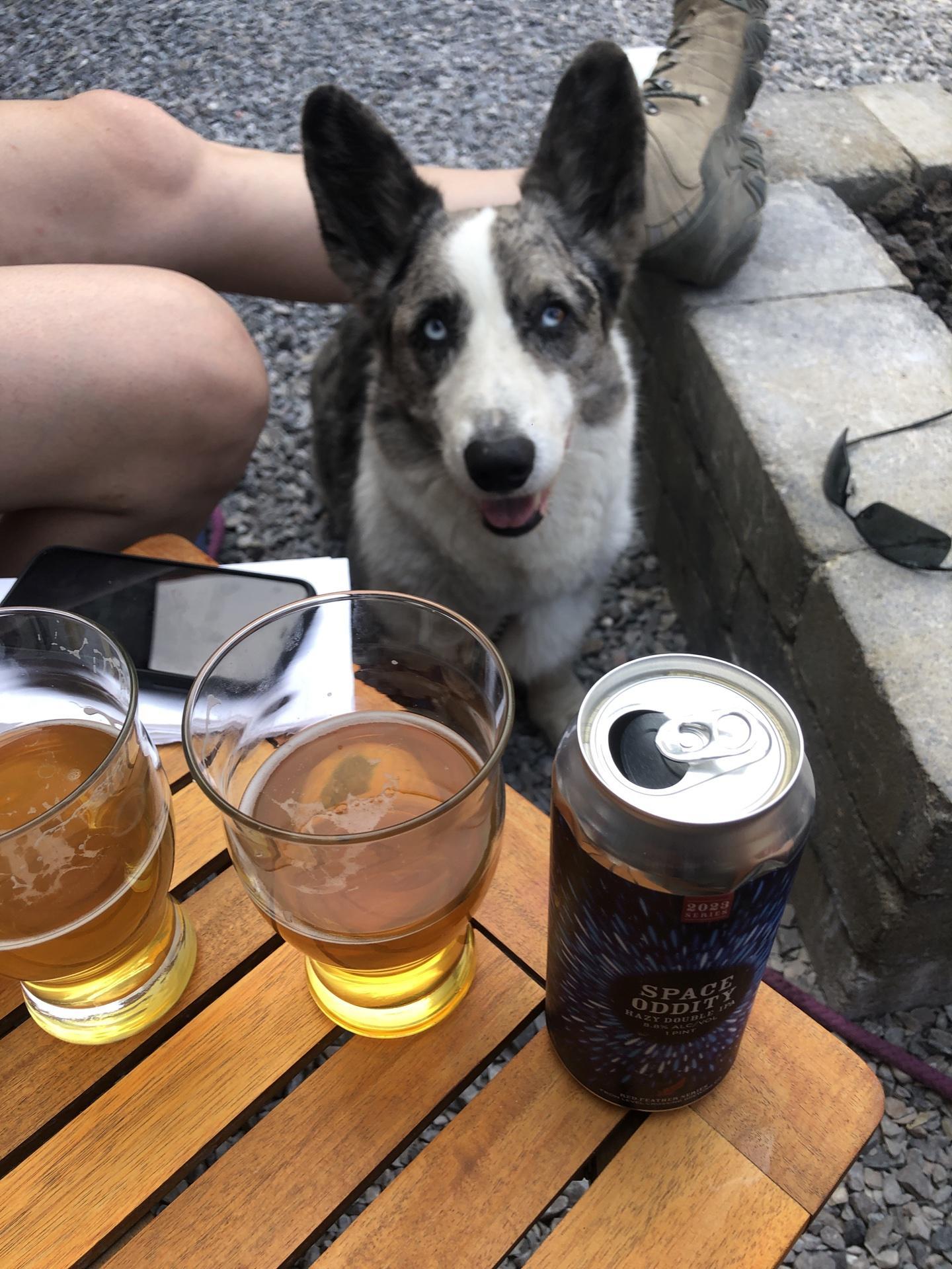 Pet Friendly Level Crossing Brewing Co