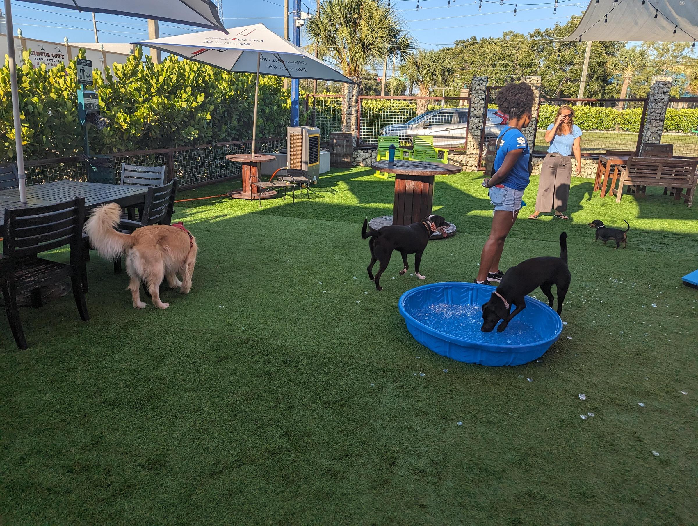 Boos Ice House & Dog Bar Pet Policy