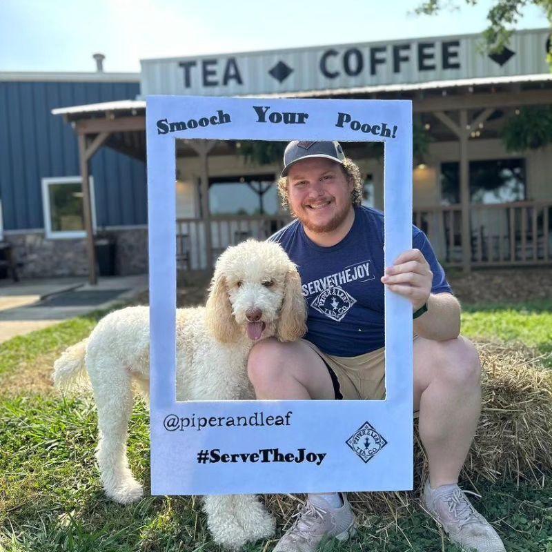 Pet Friendly Piper and Leaf Tea Co