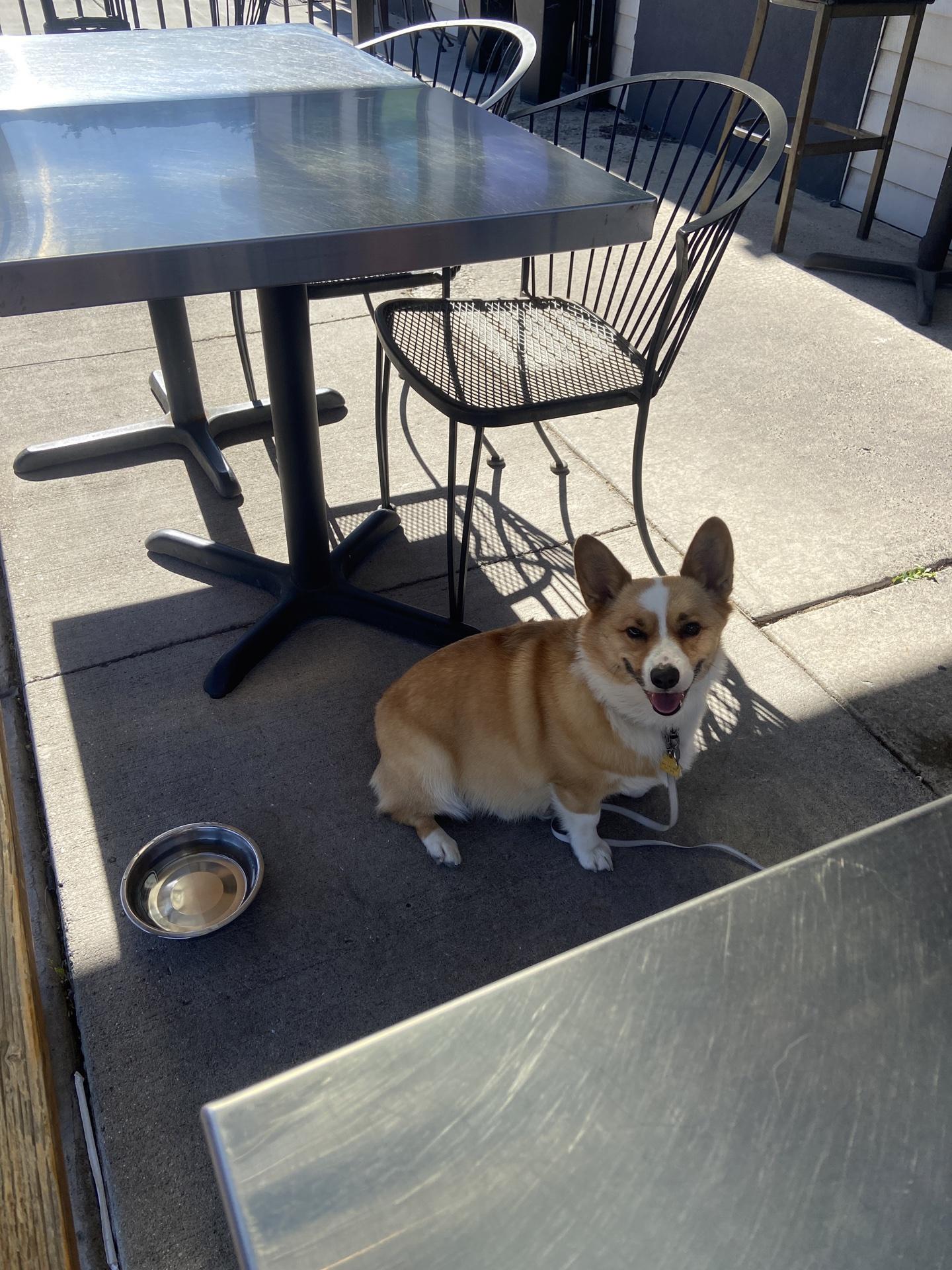 Pet Friendly Millcreek Cafe and Eggworks