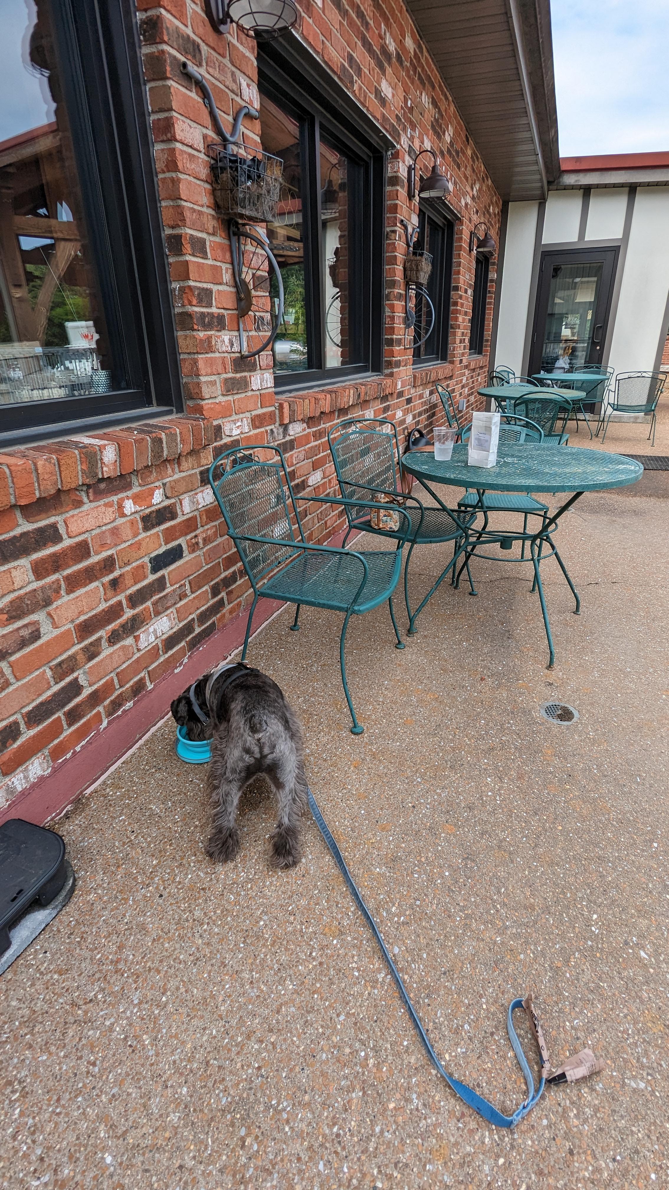 Pet Friendly The Tasting Room on the Blufftop at Rocheport