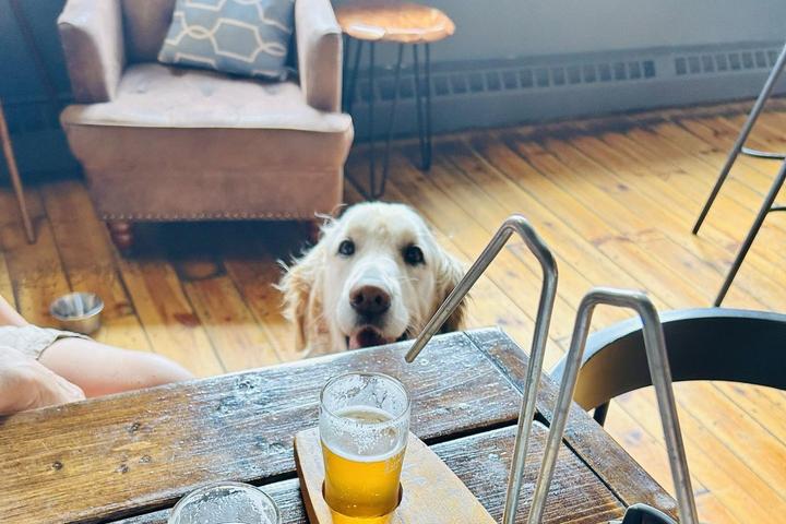 Pet Friendly Evermoore Brewing Co: Island Dining & Craft Beer