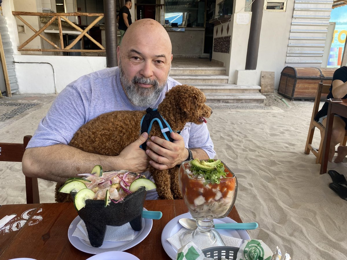 A happy pup sitting with its owner at a table on the sand-covered patio at dog-friendly La Pepita in Puerto Morelos, MX.