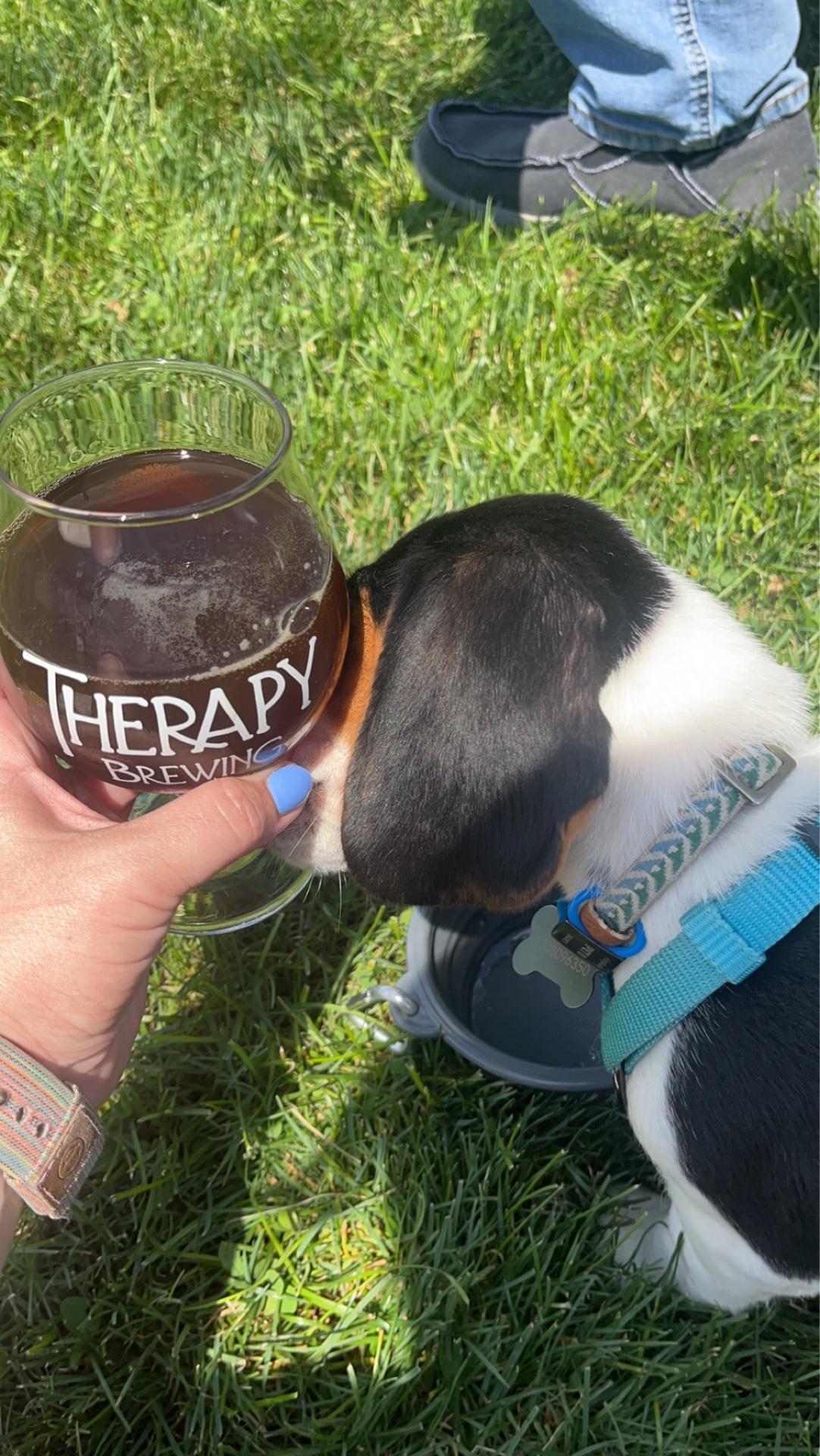 Pet Friendly Therapy Brewing