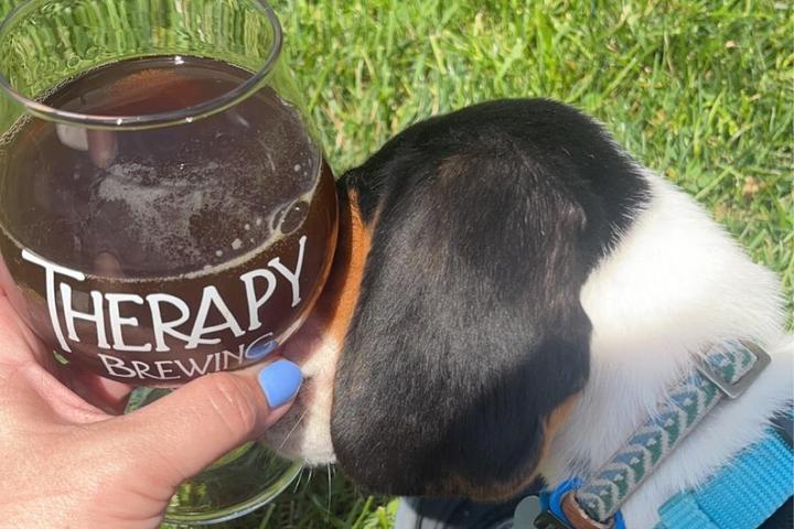 Pet Friendly Therapy Brewing