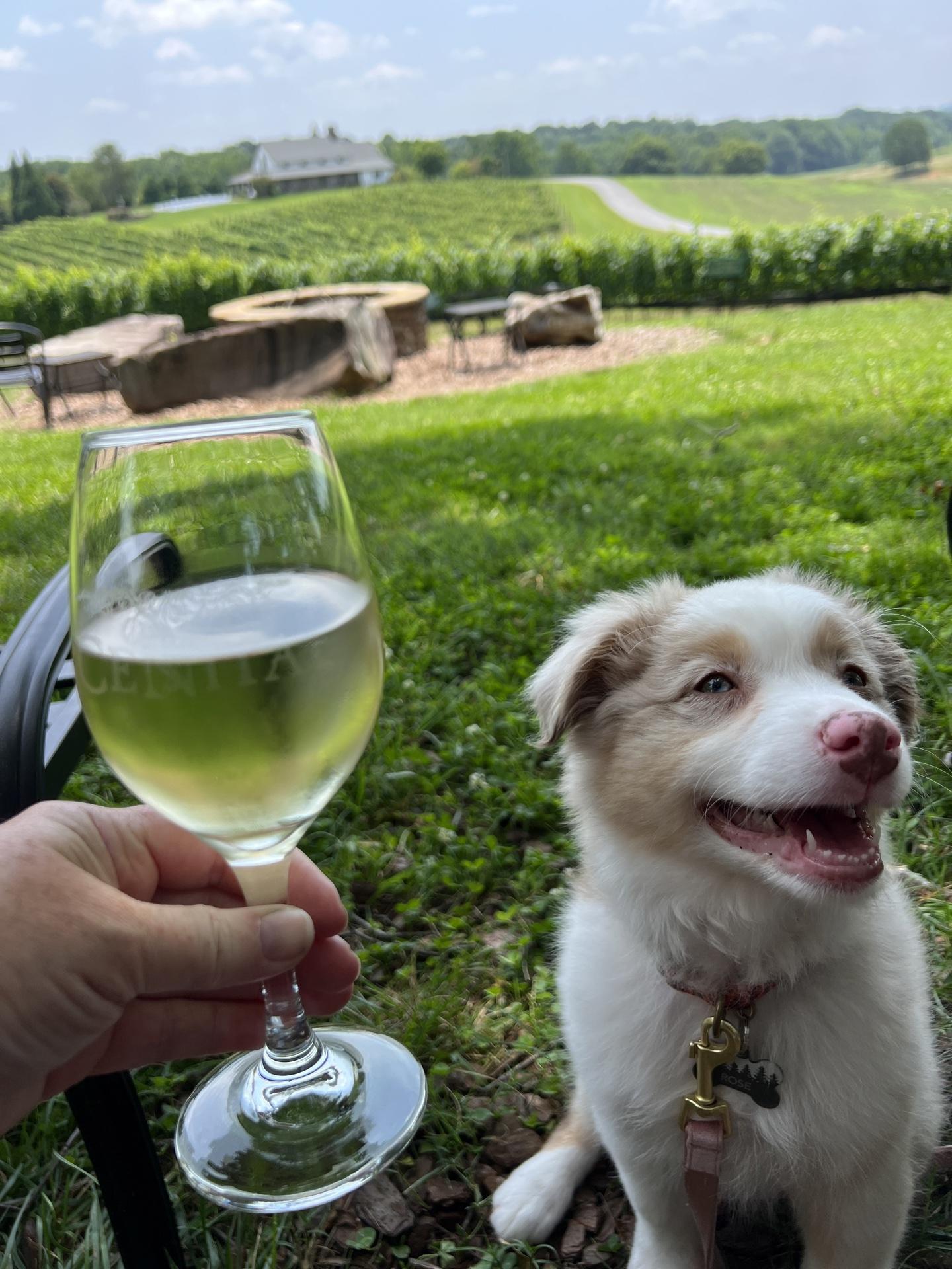 CeNita Vineyards & Winery