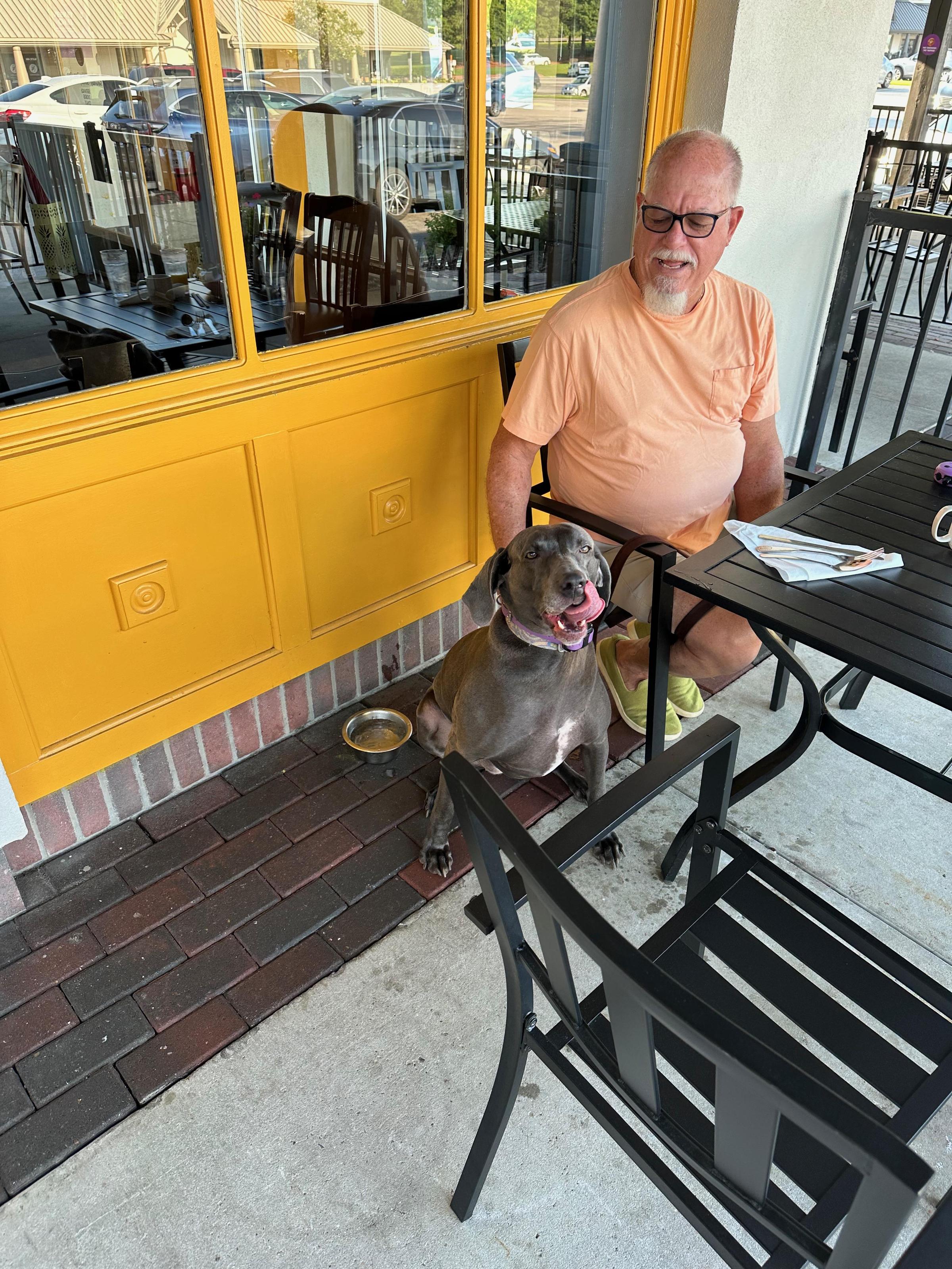Pet Friendly The Flying Biscuit Cafe