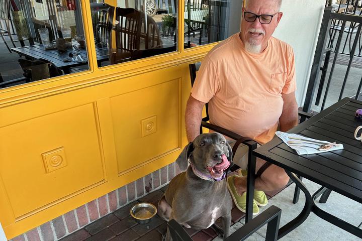 Pet Friendly The Flying Biscuit Cafe