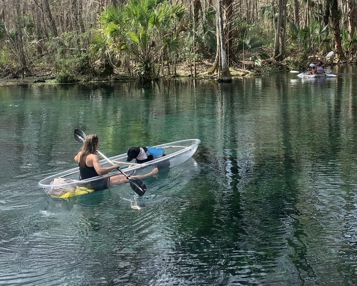 Pet Friendly Clear Canoeing