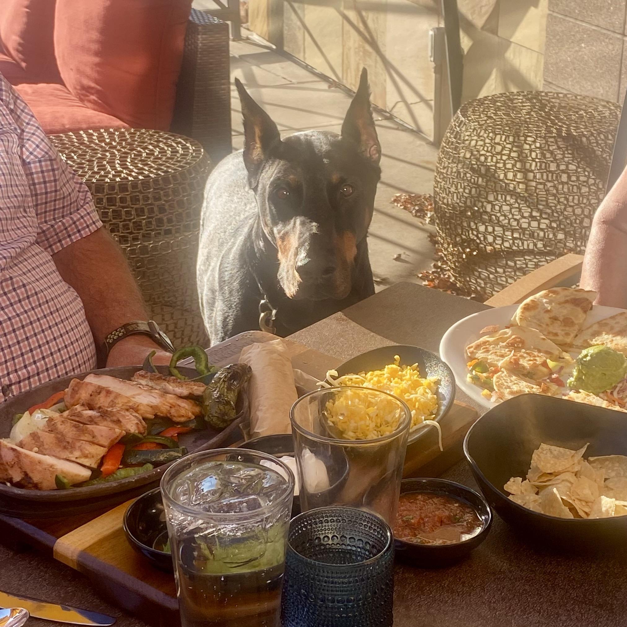 Hacienda Colorado Pet Policy