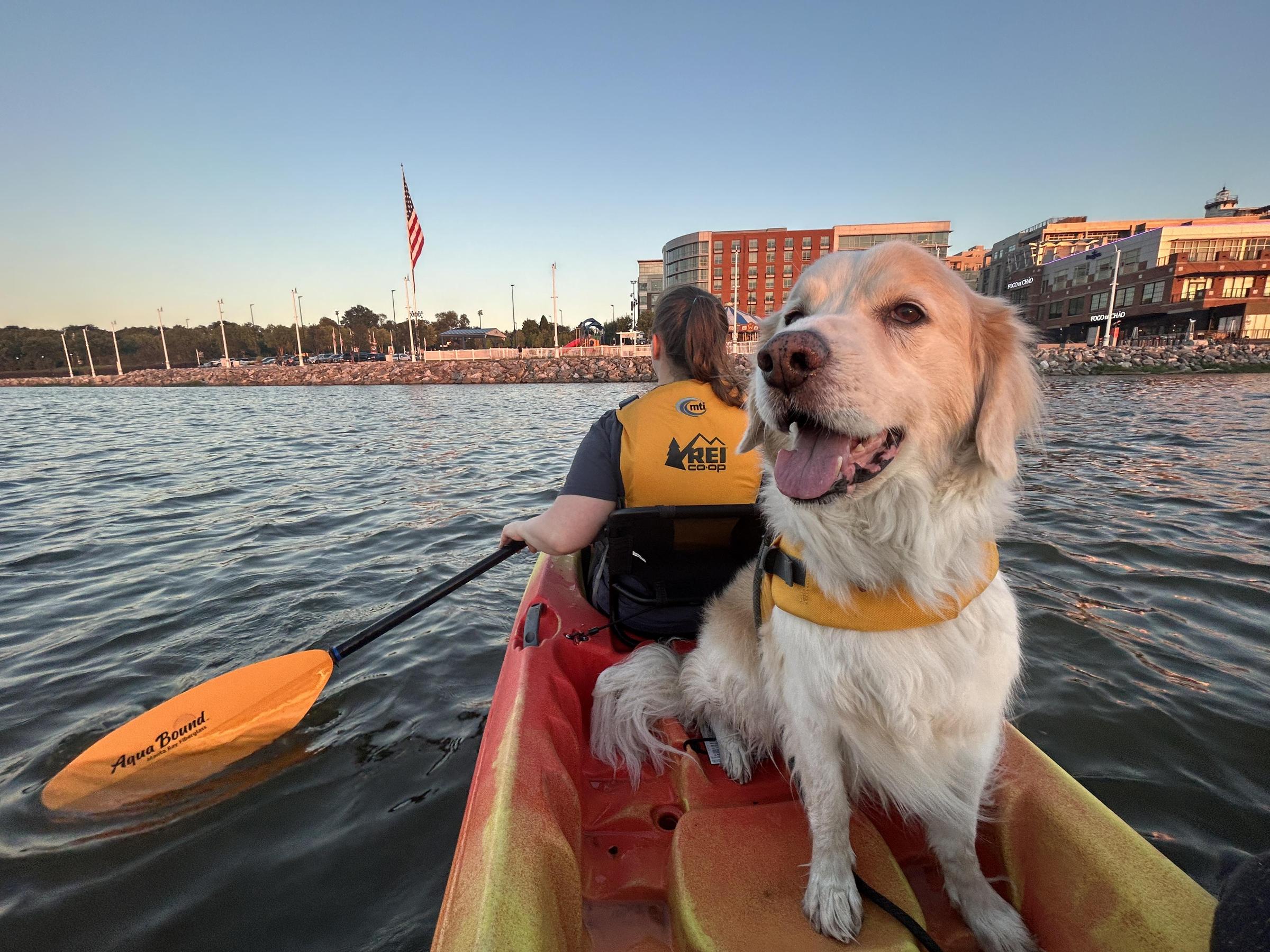 Pet Friendly REI Co-op Kayak & Paddleboard Rentals