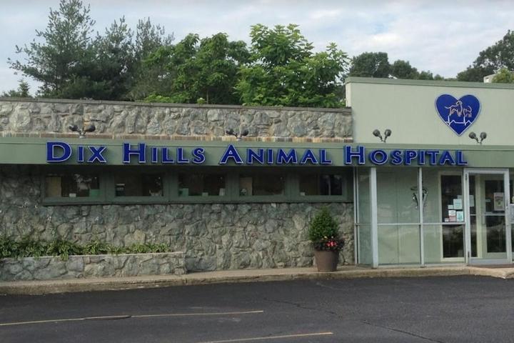 Pet Friendly Dix Hills Animal Hospital