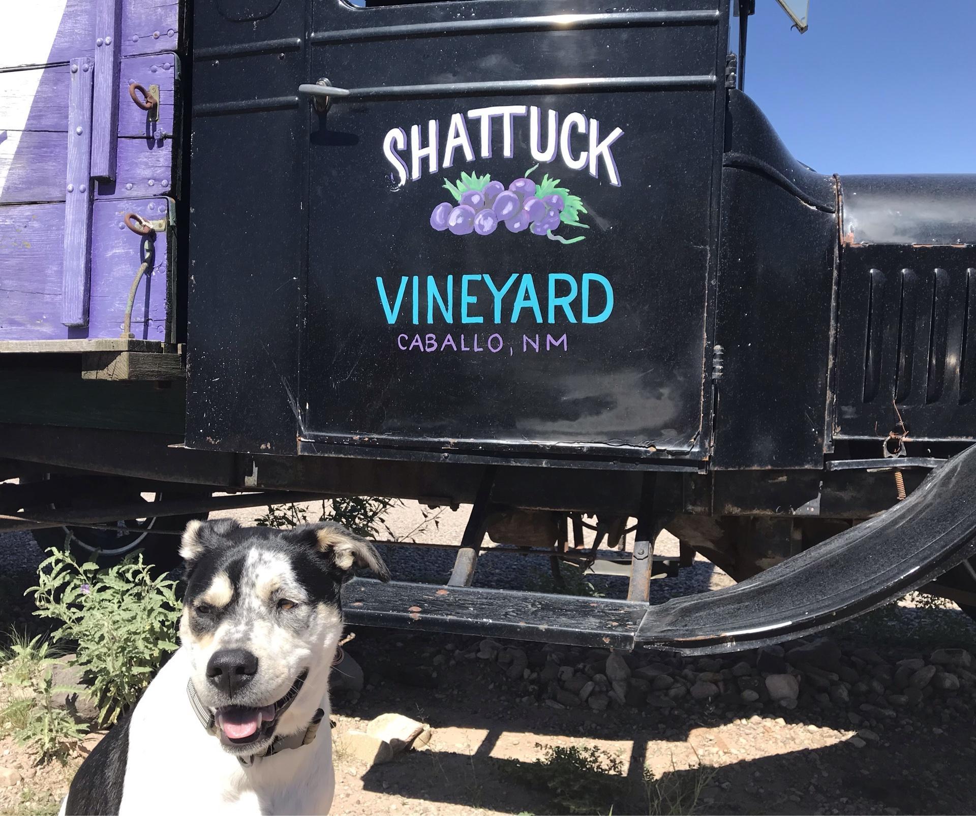 Pet Friendly Shattuck Vineyard