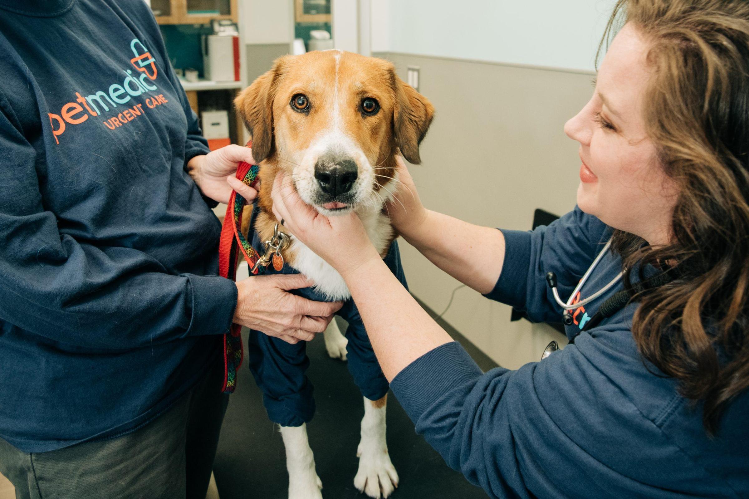 Pet Friendly PetMedic Urgent Care Vet Clinic - Freeport