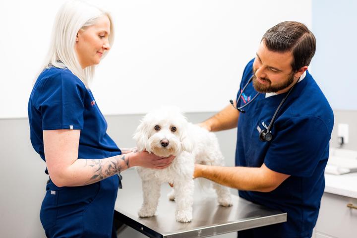 Pet Friendly PetMedic Urgent Care Vet Clinic
