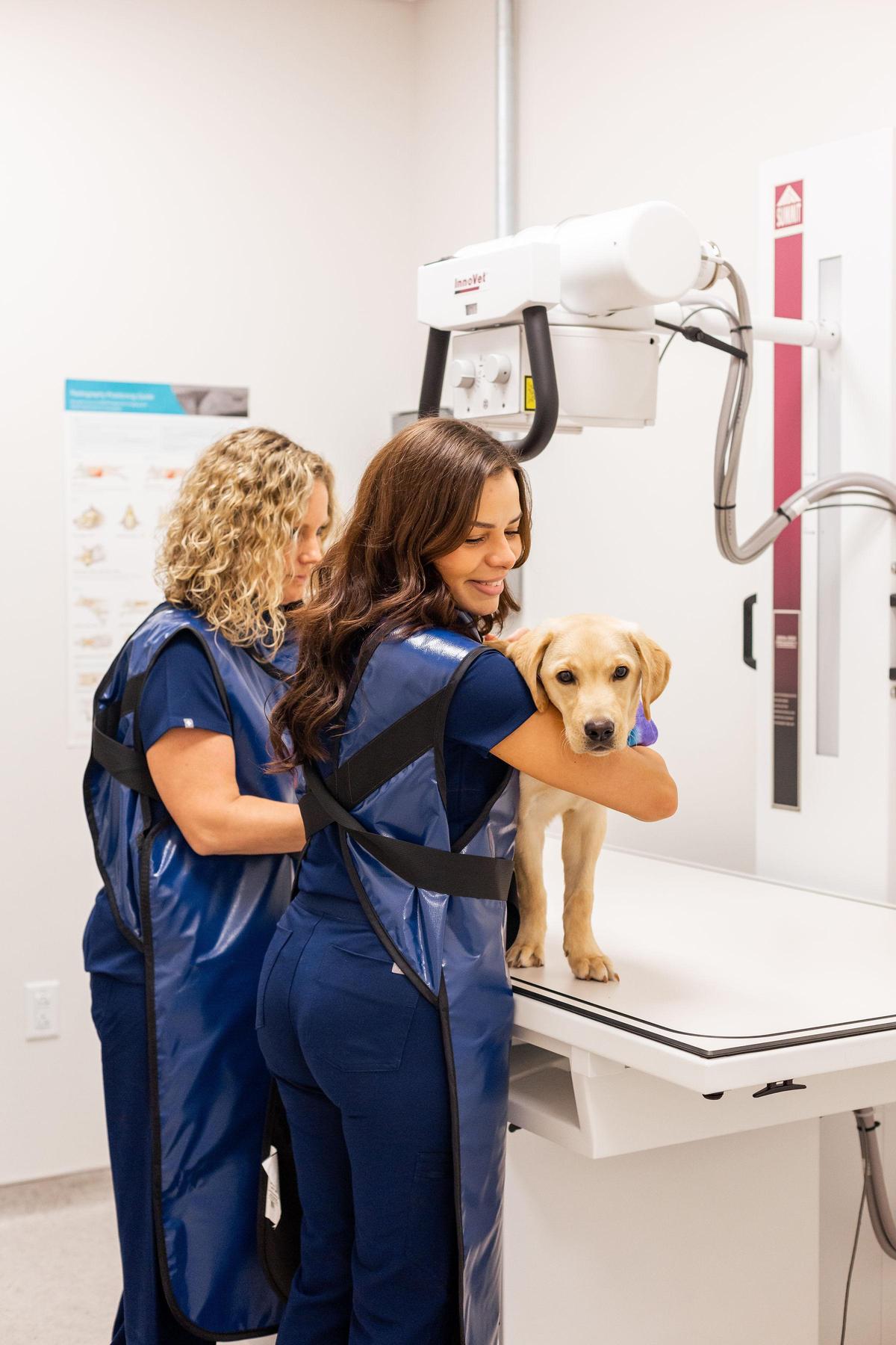 Petmedic Urgent Care Vet Clinic Westborough Reviews PetMedic Urgent Care Vet Clinic - Westborough