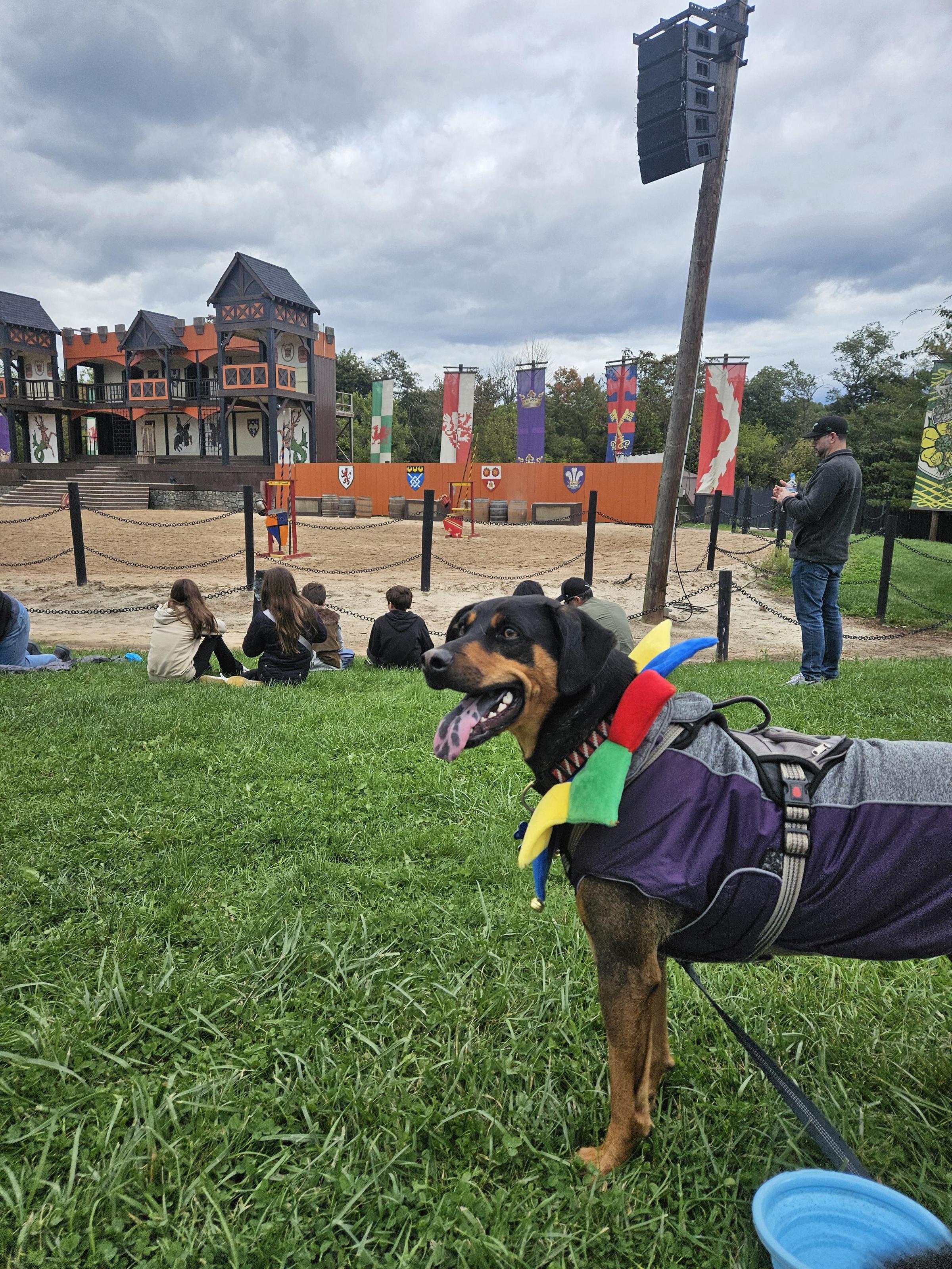 Pet Friendly Pennsylvania Renaissance Faire