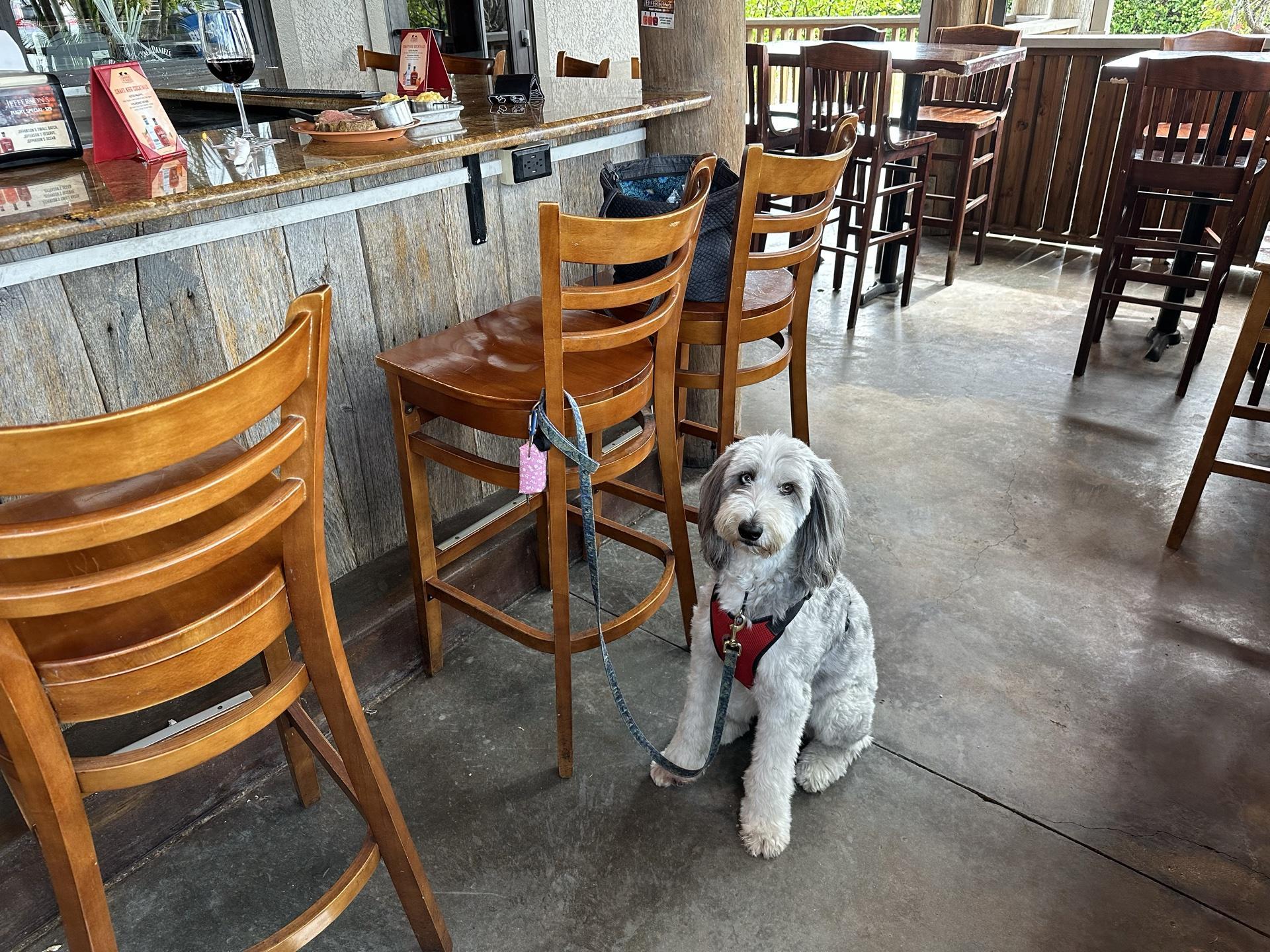 Pet Friendly Charlie and Jake's Barbeque