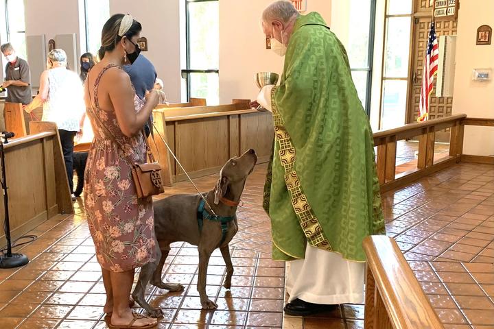 Pet Friendly St Clement's Episcopal Church People and Pets Ministry