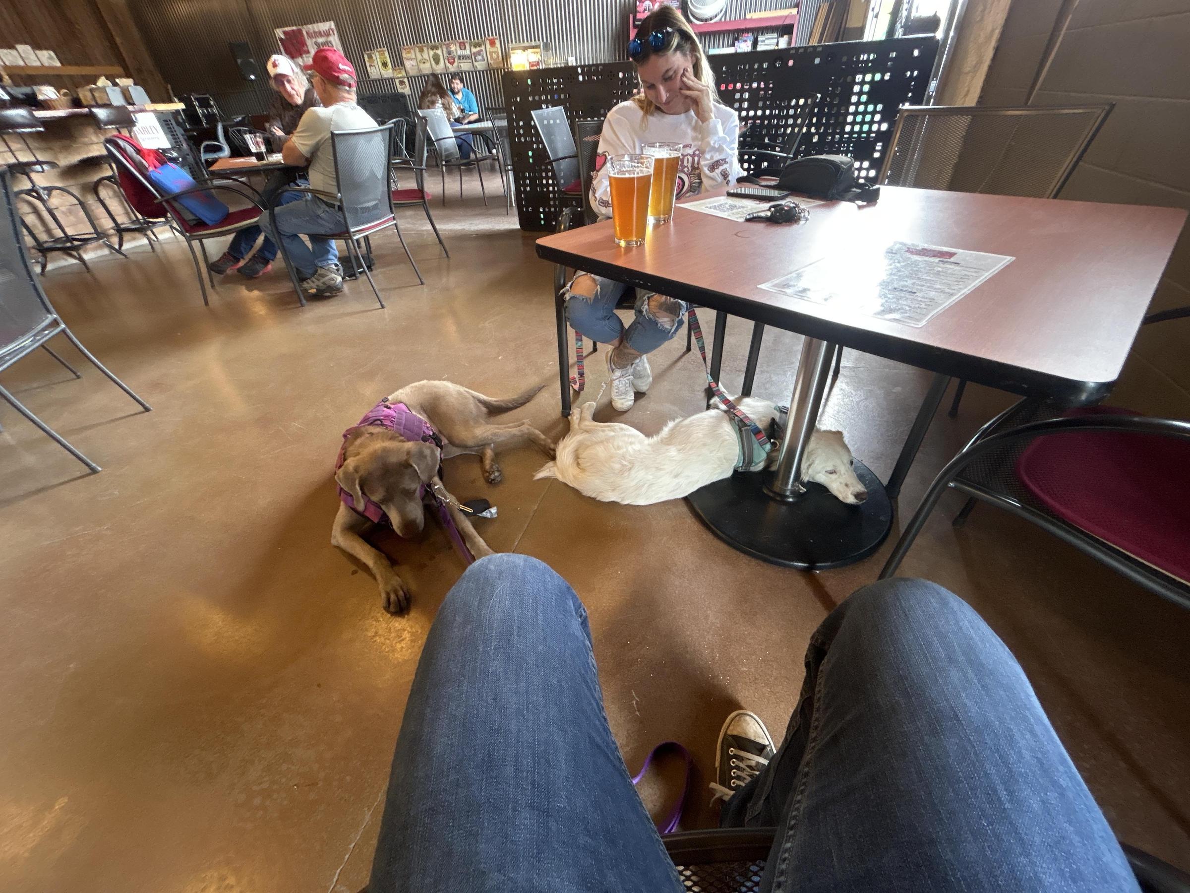 Pet Friendly Trailside Taproom - Paradise Creek Brewery