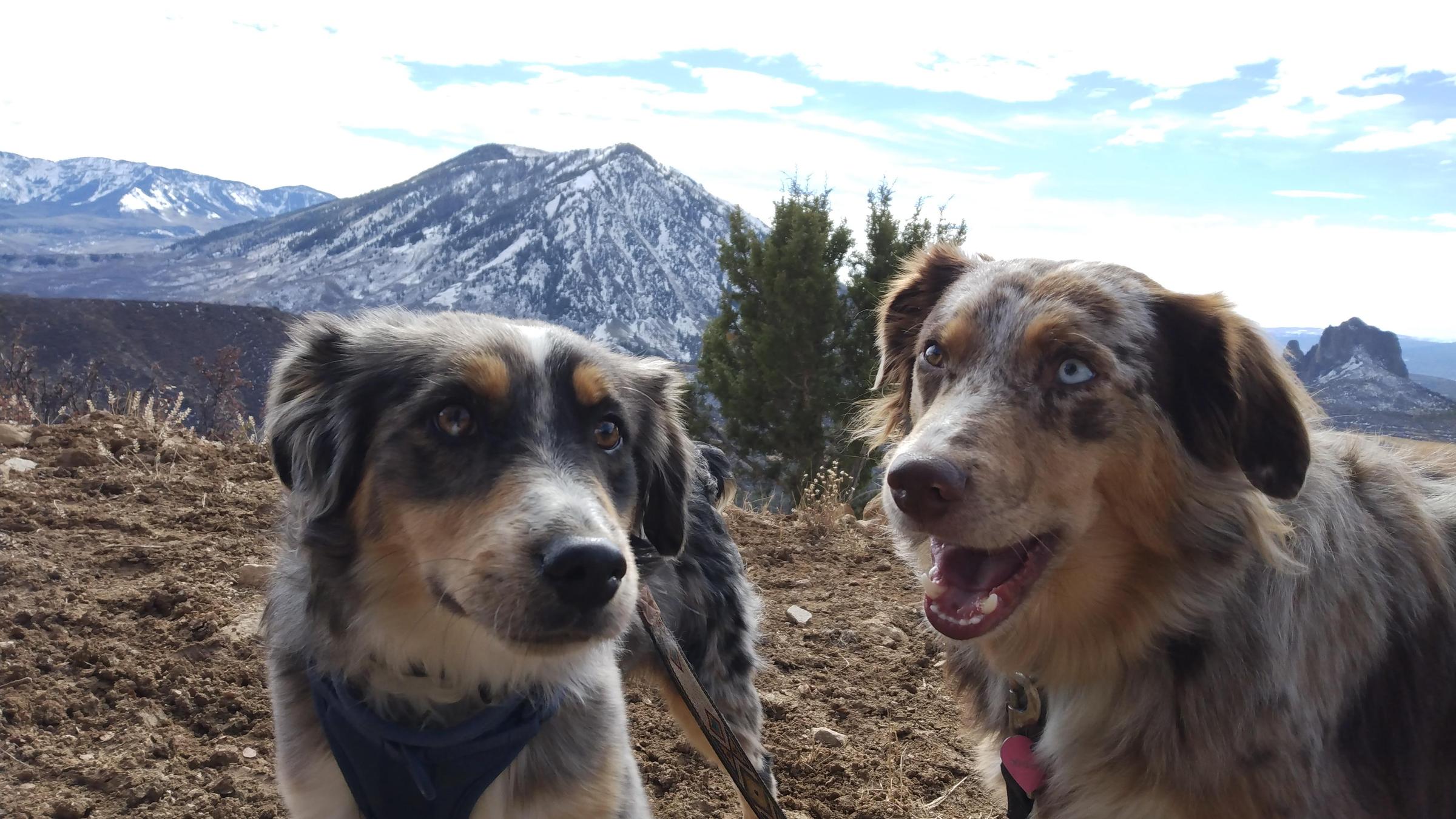 Pet Friendly Valley View Trail
