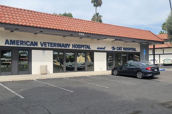 Veterinary Specialty Emergency Vet Vca Yorba Animal Hospital Tampa