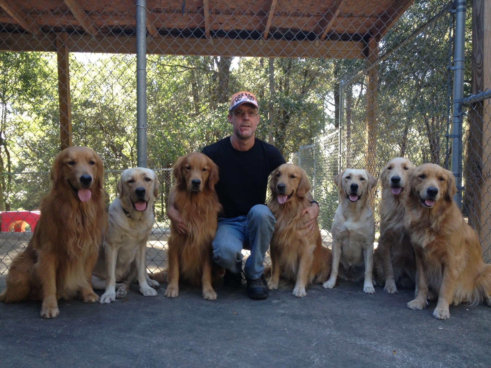 Pet Friendly K9dogo Dog Training