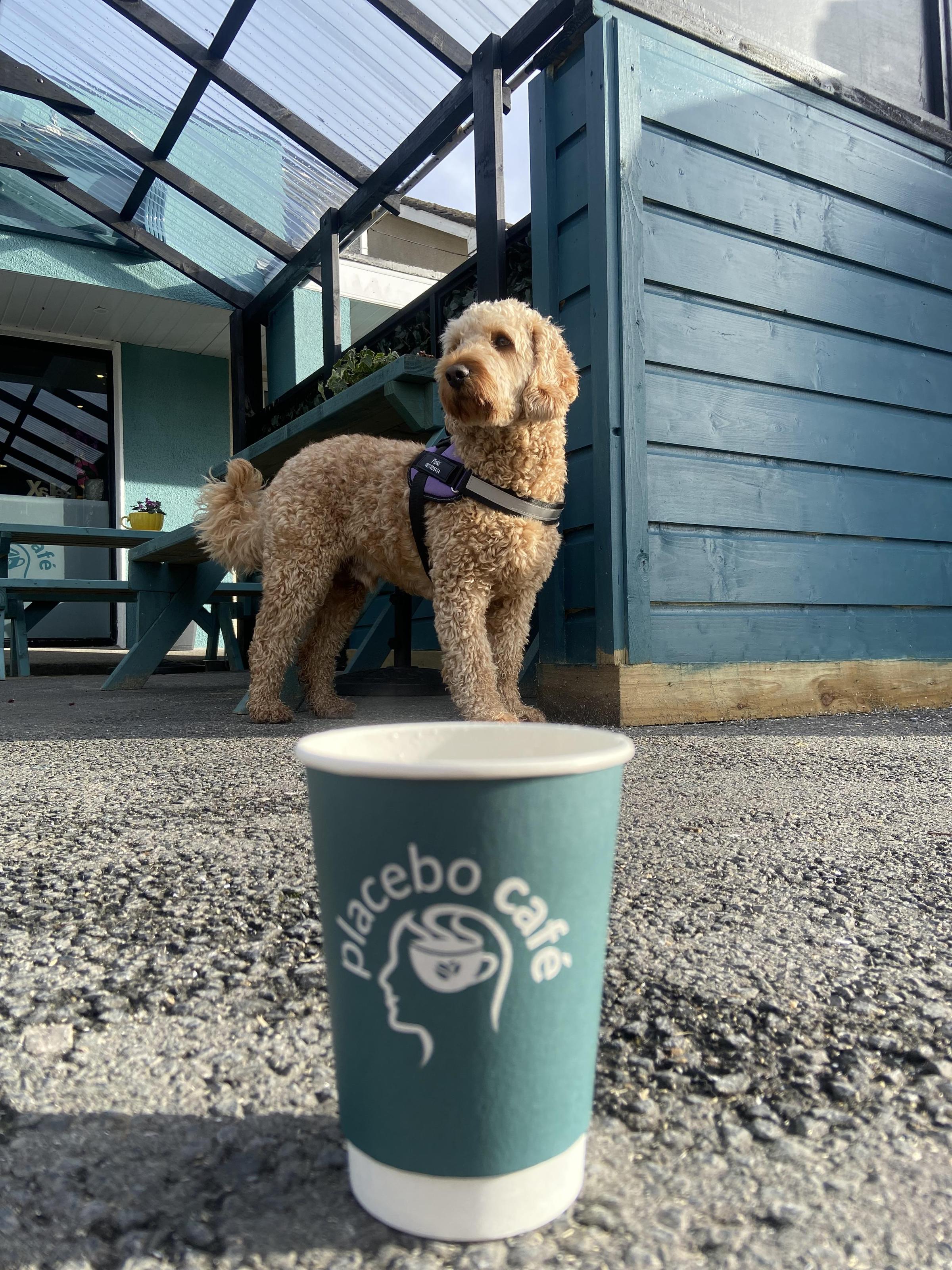 Kinvara restaurants sales