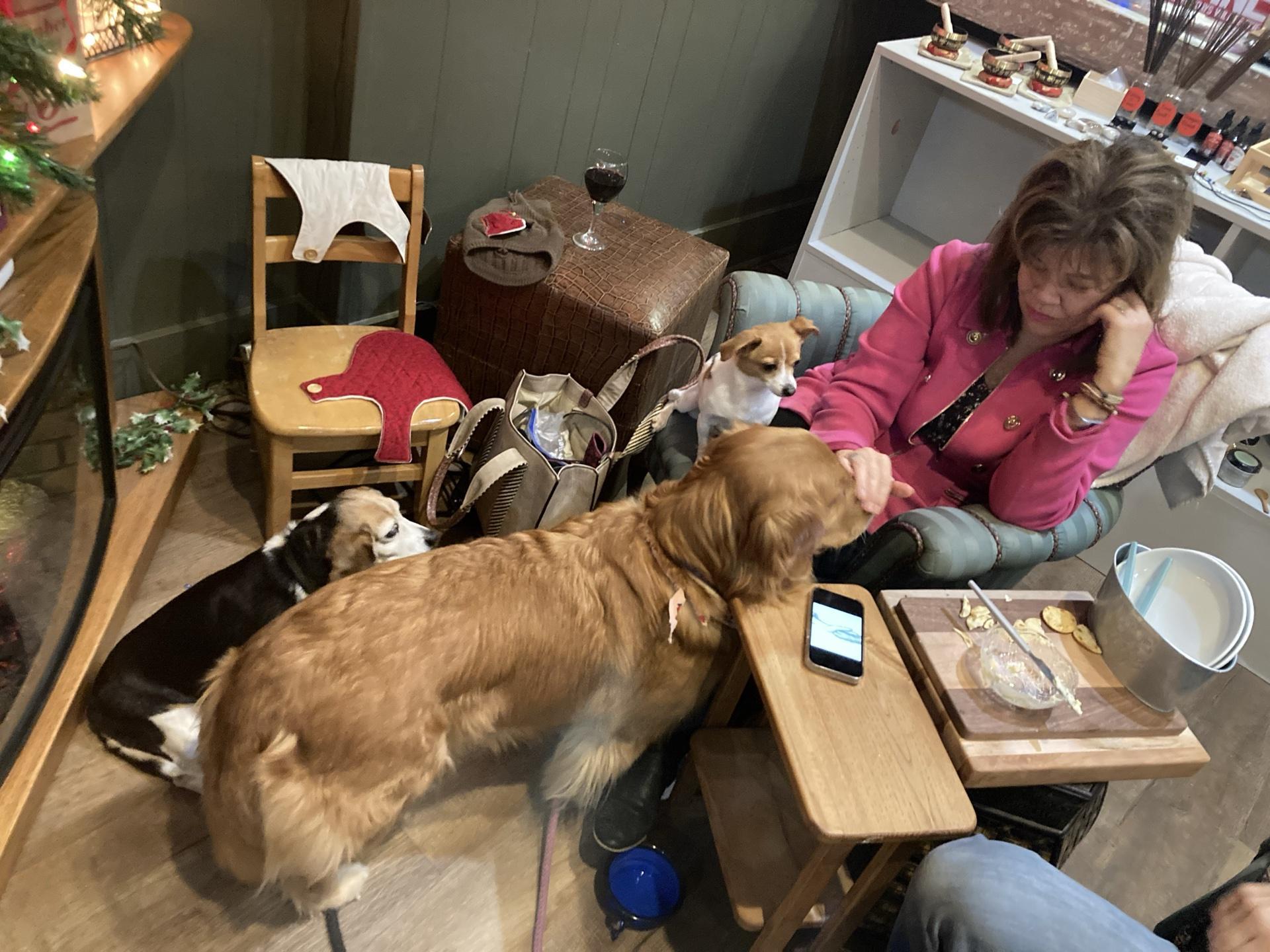 Pet Friendly Twisted Rivers Winery