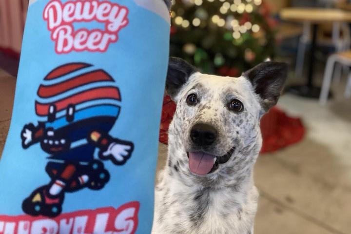 Pet Friendly Dewey Beer Company - Harbeson