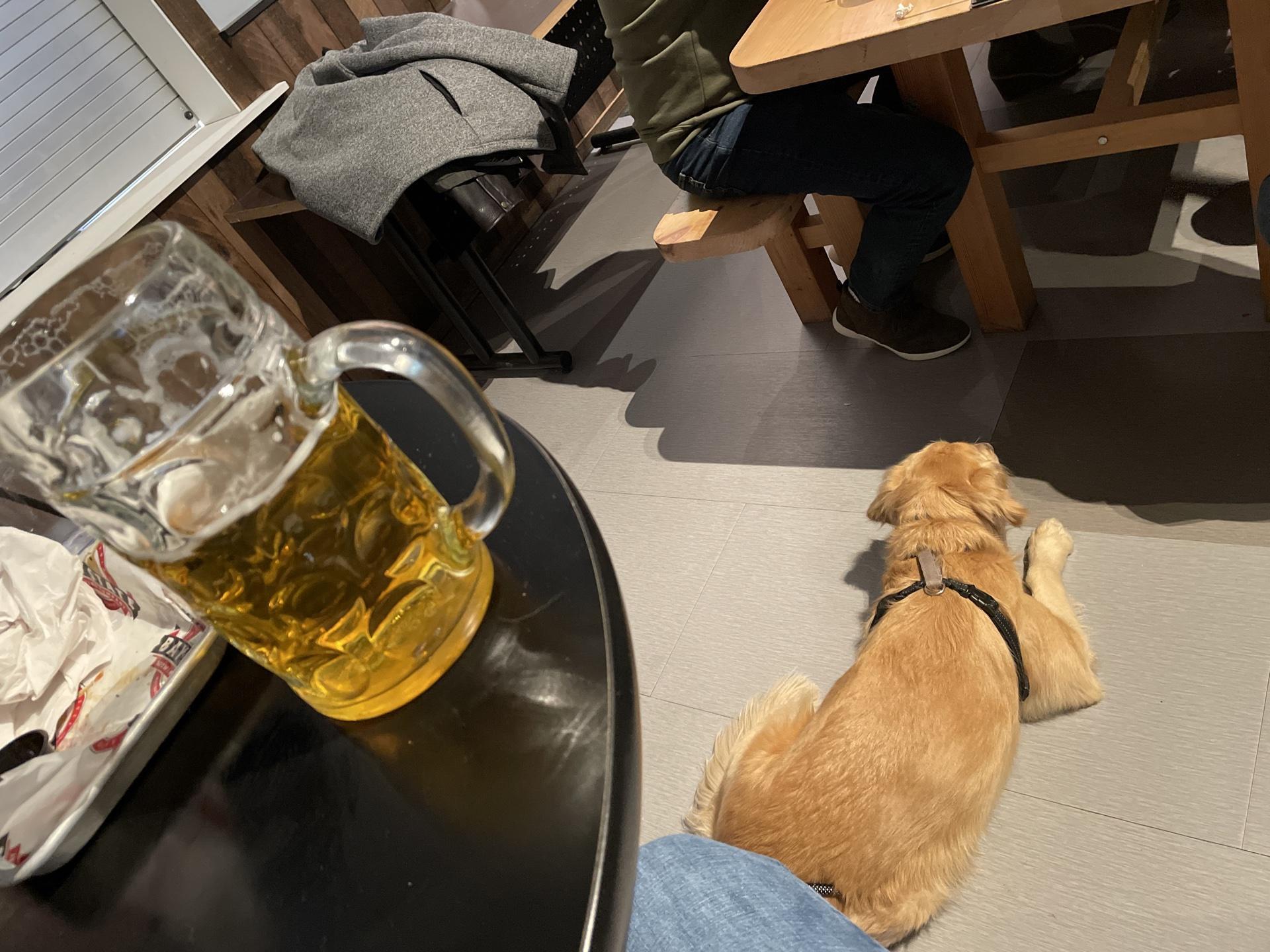 Pet Friendly Bay State Brewery & Tap Room