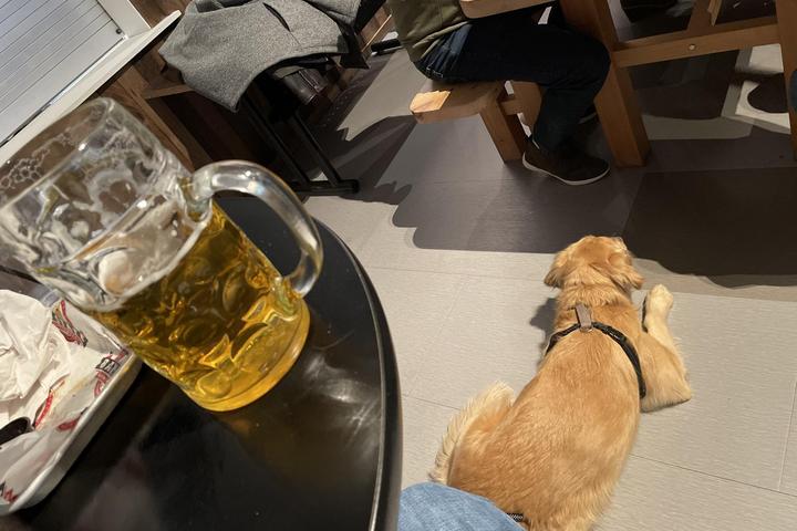Pet Friendly Bay State Brewery & Tap Room
